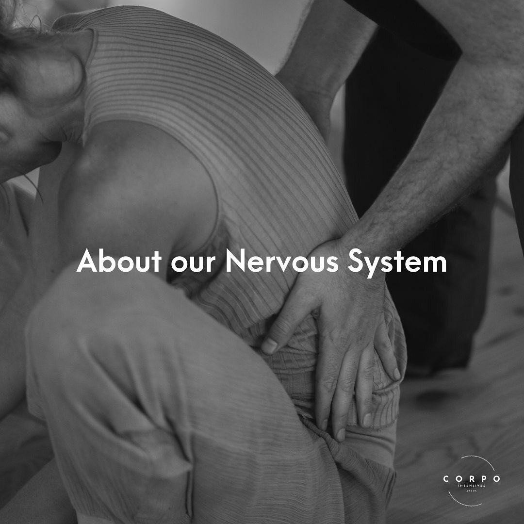 Exploring the incredible world within: our nervous system! ✨ 
Discovering relaxation techniques to soothe the mind, from mindful breathing to calming meditations to classes of our wonderful @somaticbliss 🧡
Let&rsquo;s tap into the power of our neura