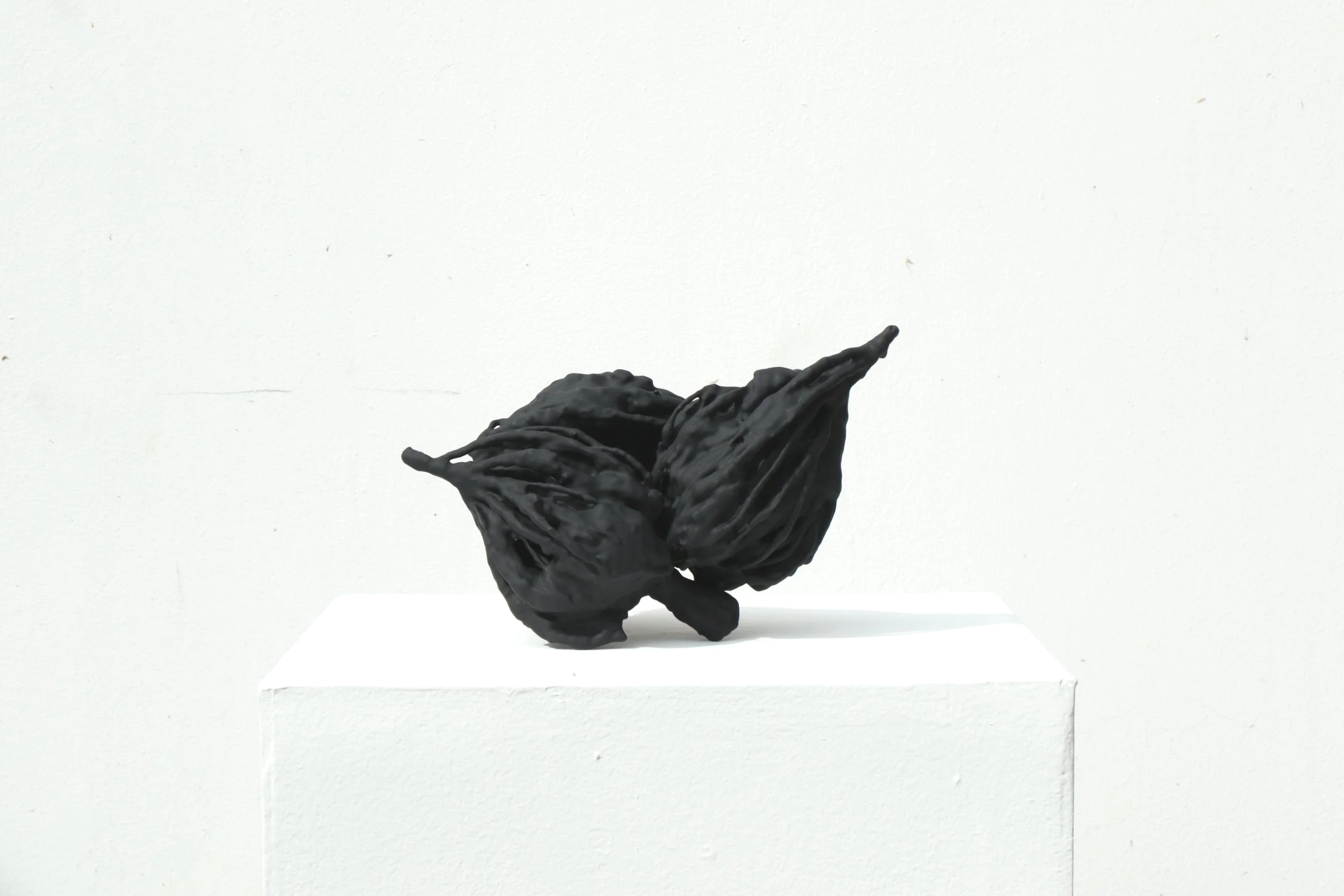   Objeto Conceptual 17