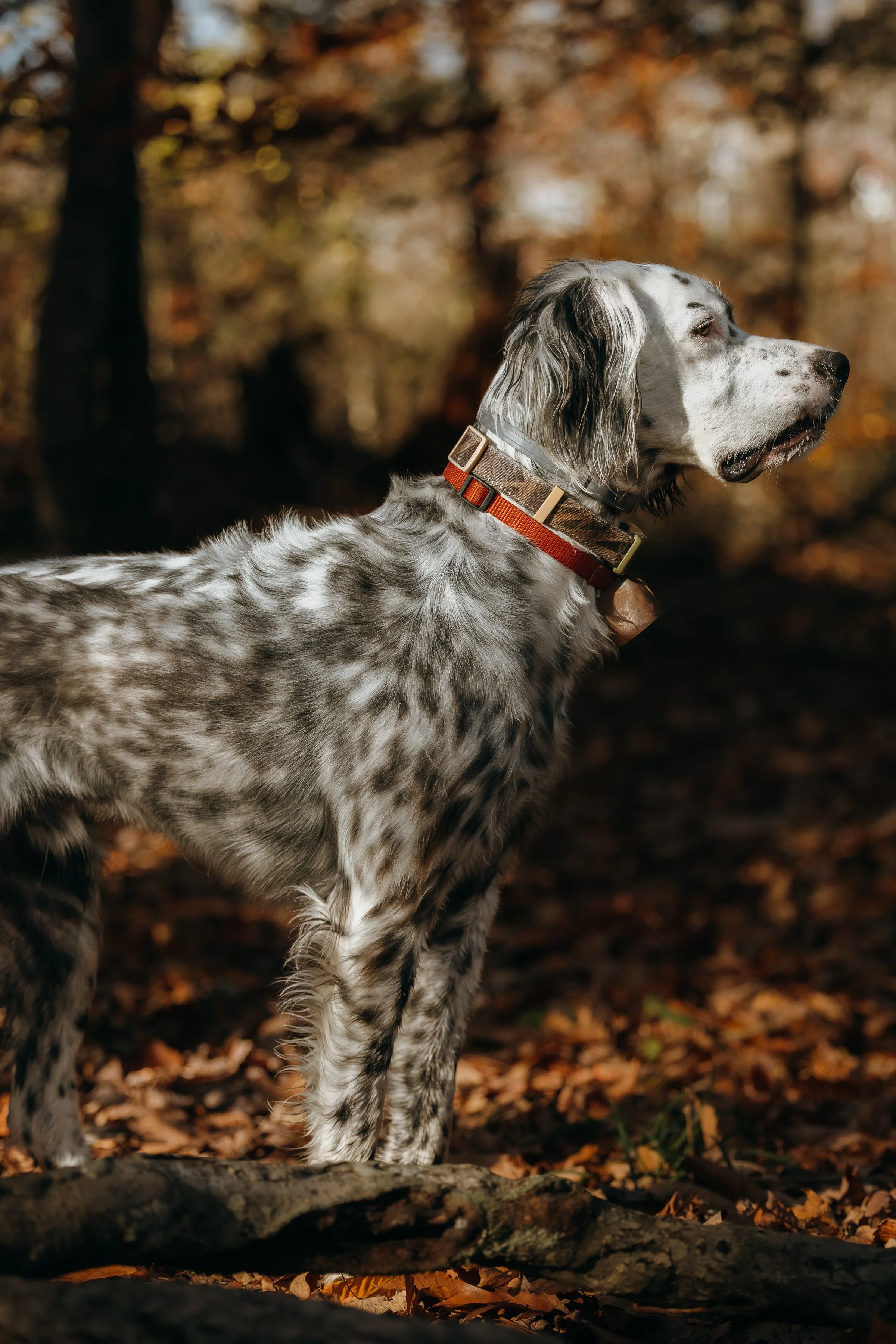 Easy moc shop photos -23.jpg