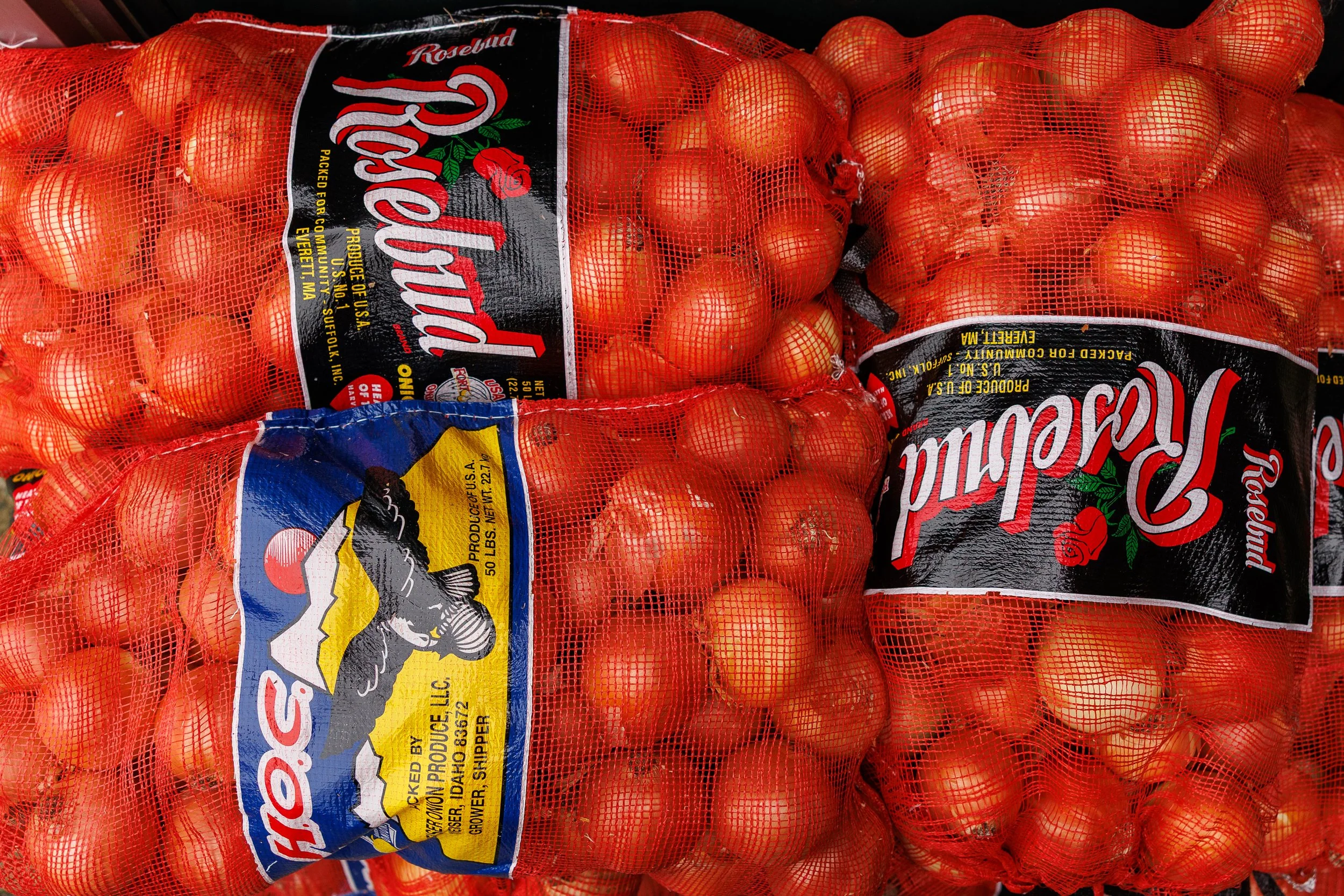 Project Pauly Thanksgiving 2025 -39.jpg