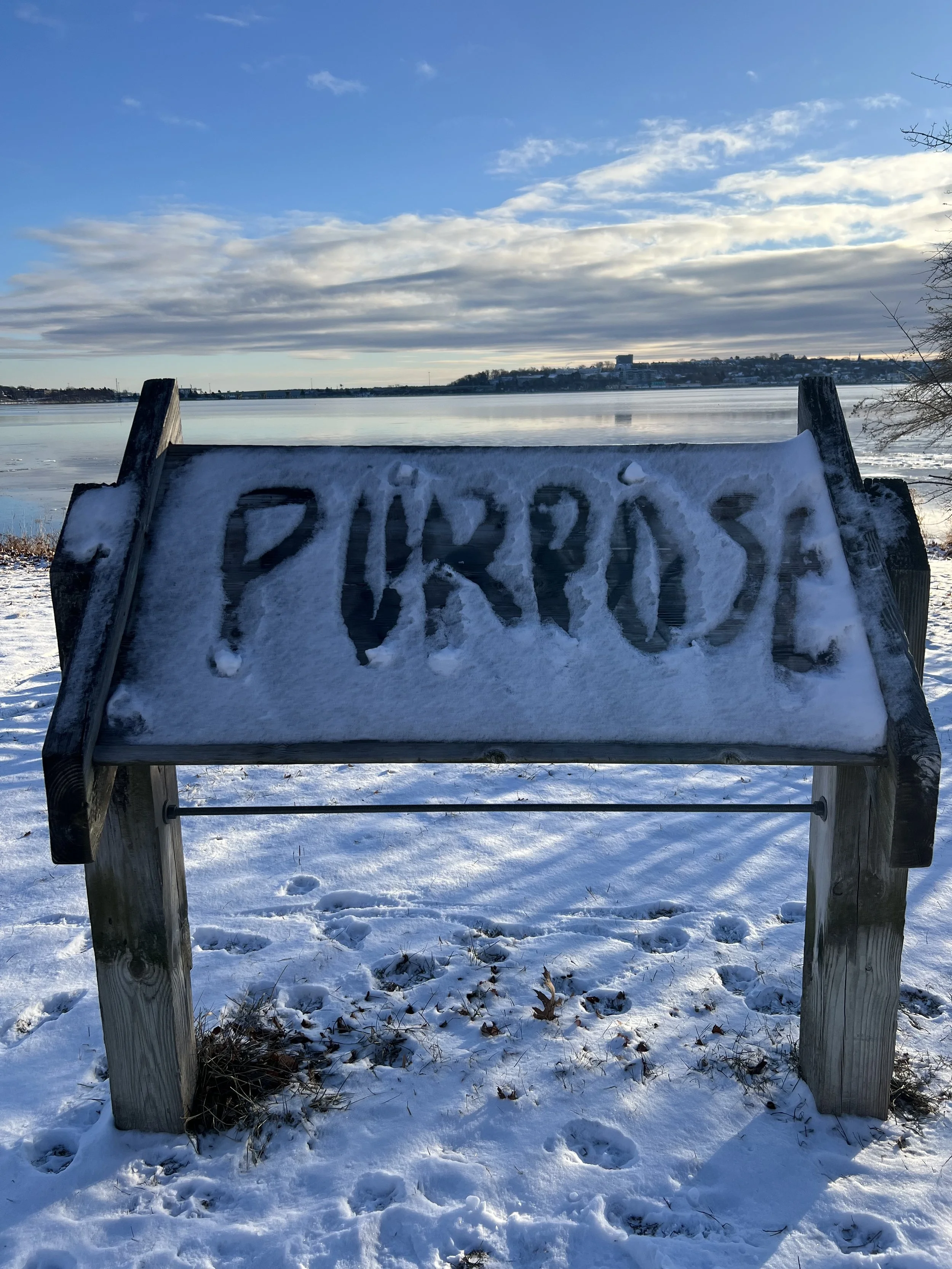 purpose.jpeg