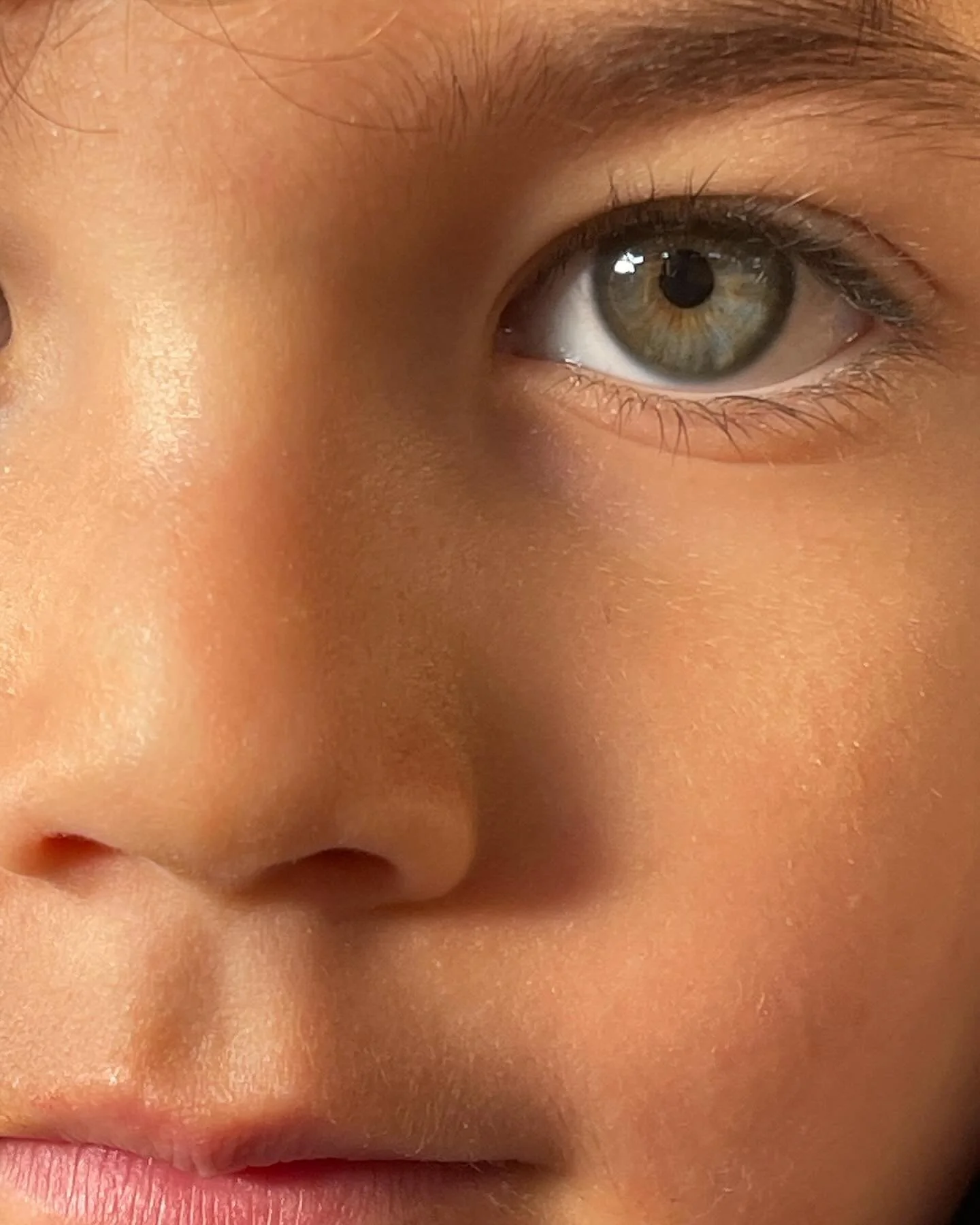 Little bitta this little bitta that 🌻