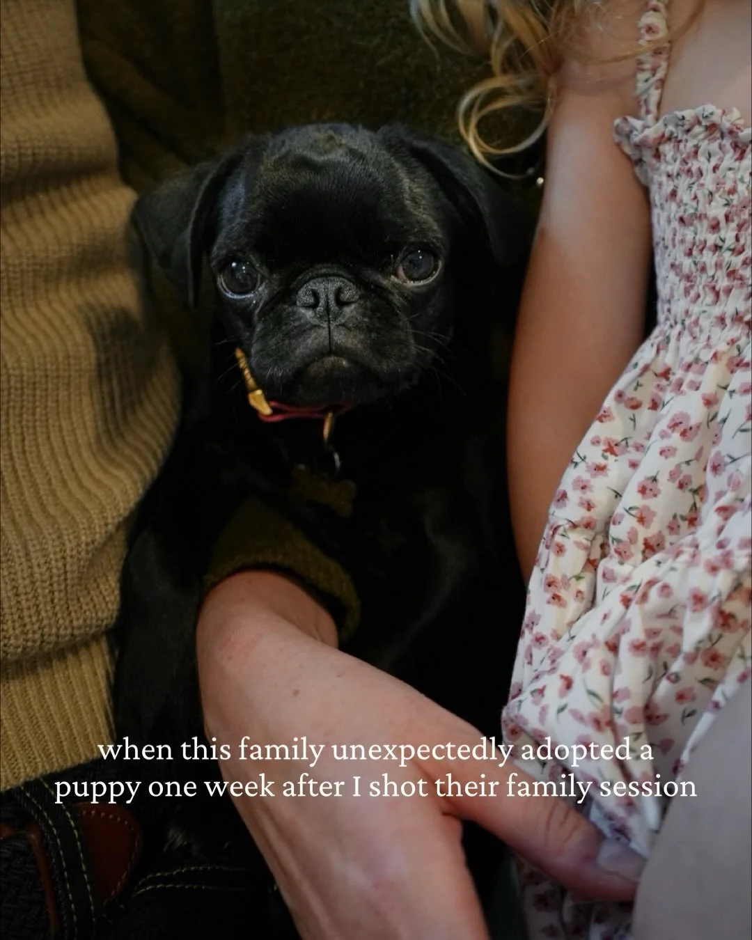 p.s. her name is Churro! how cute is that?!