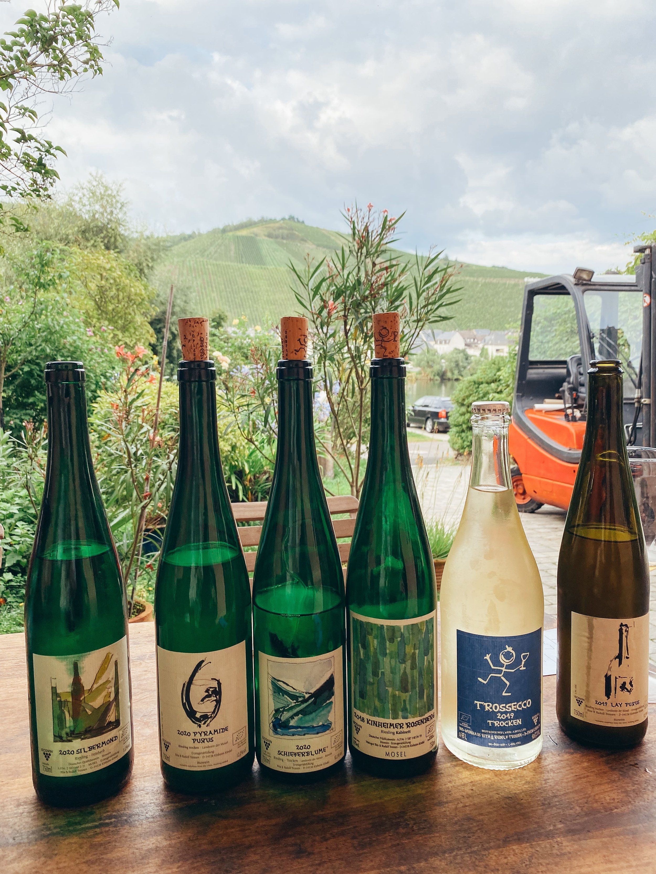 weingut+Trossen+Riesling+Mosel.jpg