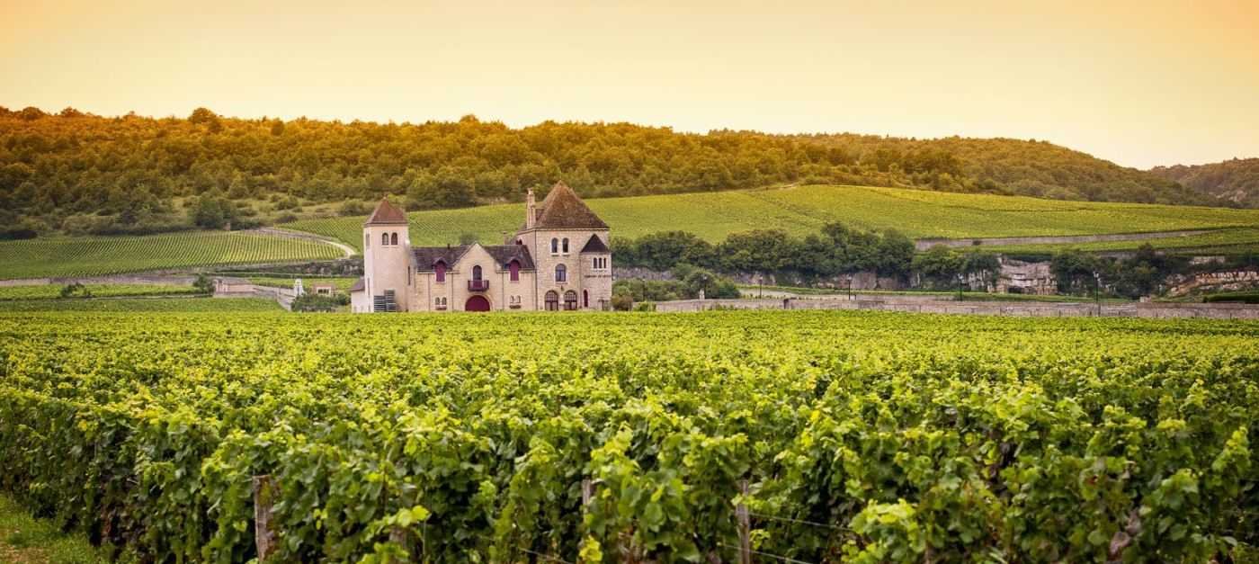 Burgundy-Wine-Region-The-Good-Gourmet.jpg