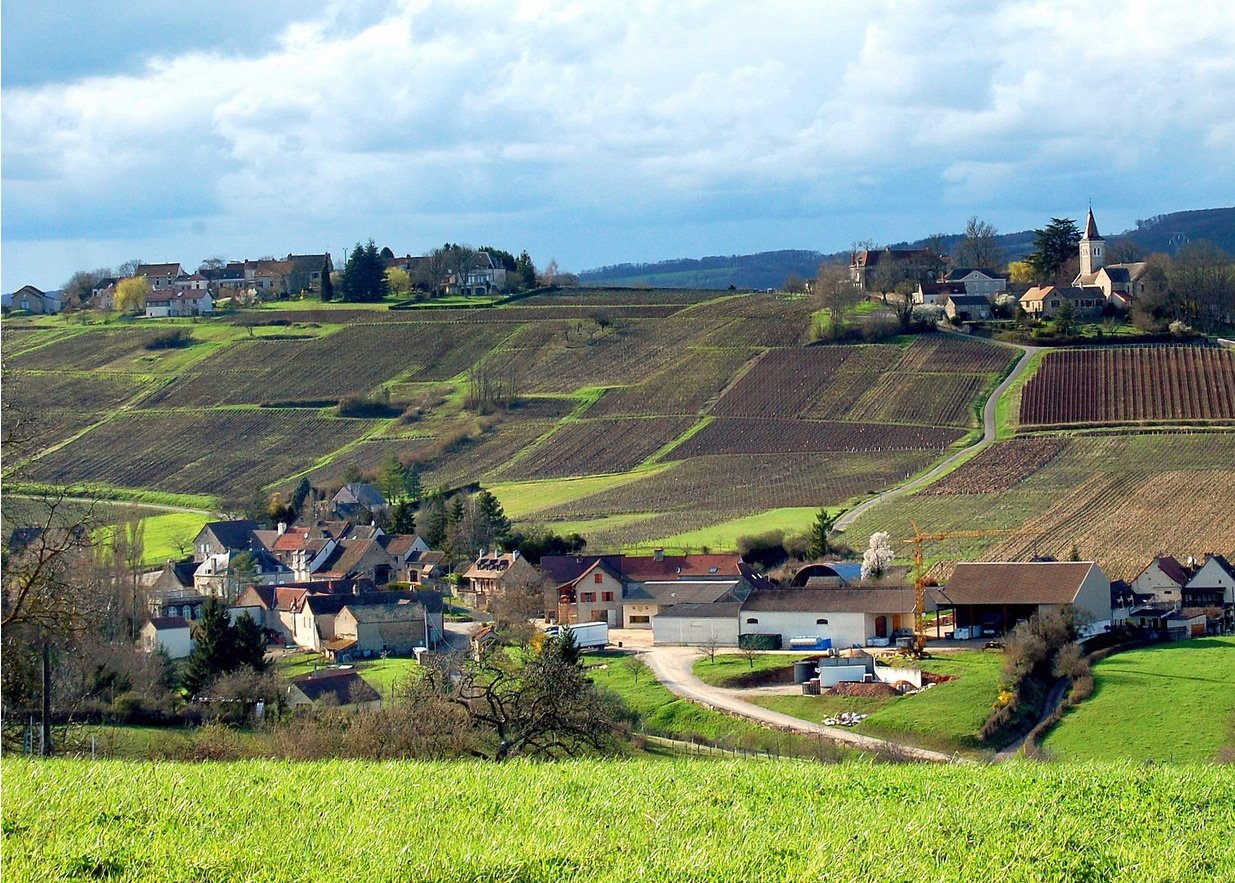 Cote-Chalonnaise-Burgundy-Wine-Region.jpg