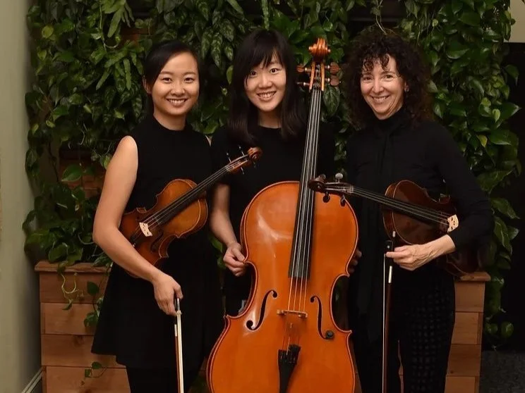 The Orchid Trio