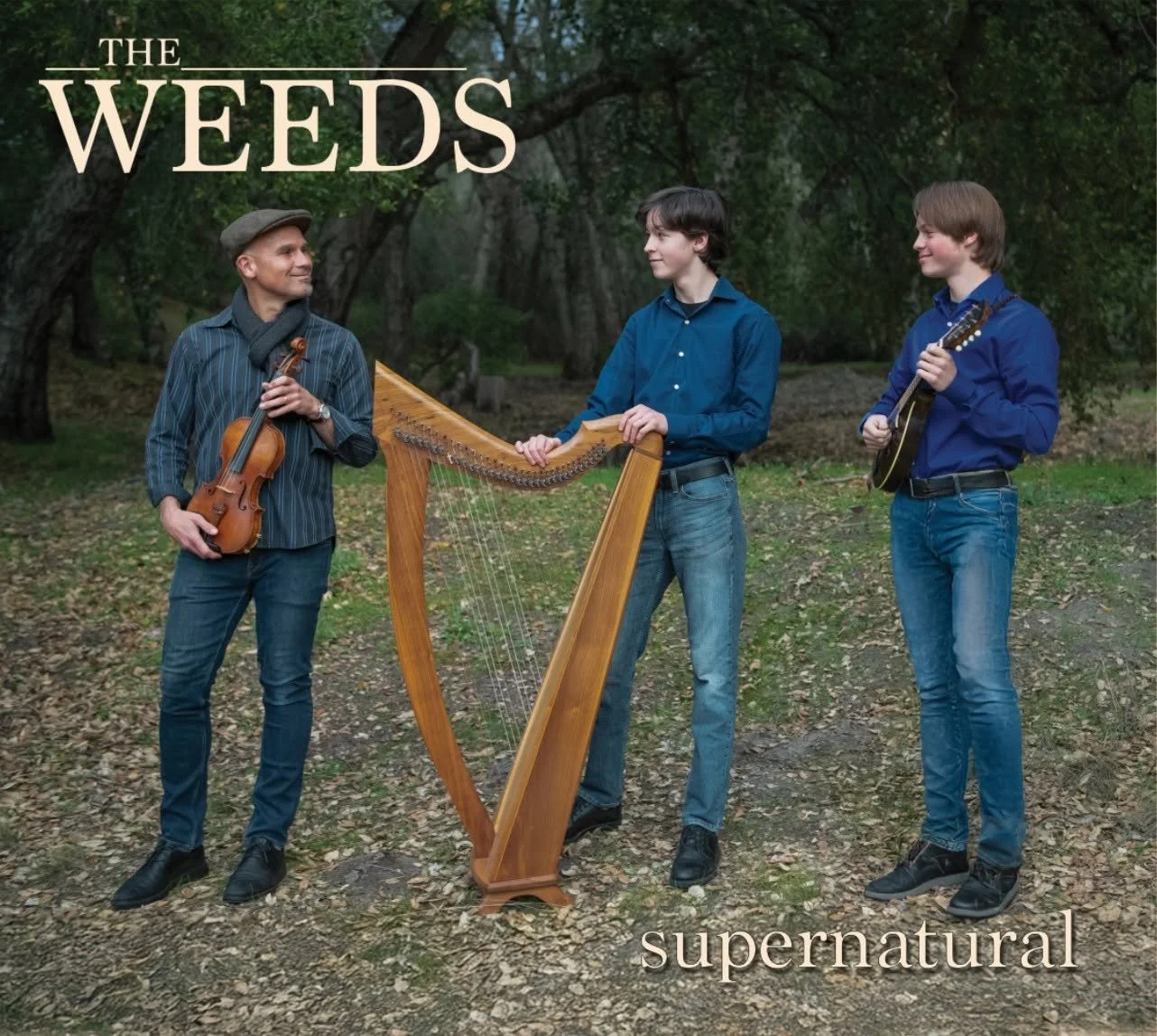 The Weeds: Trio of Innovative Original Irish Melodies