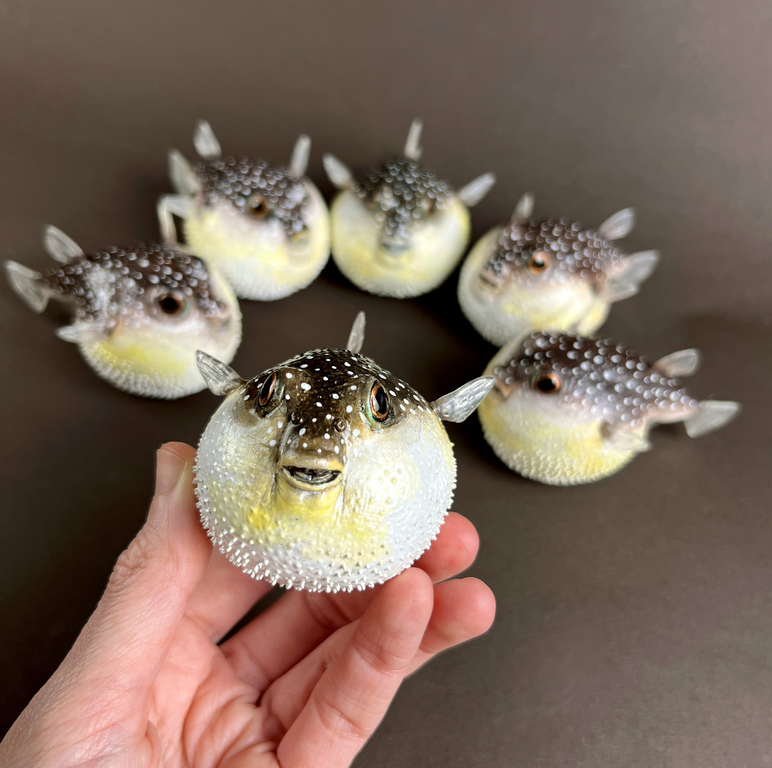 puffer fish all 3A.jpg