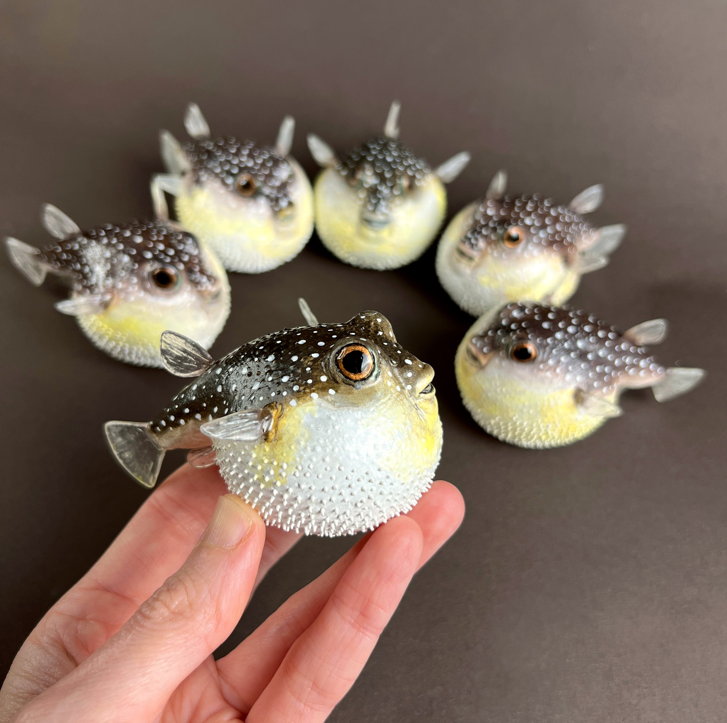 puffer fish all 2A.jpg