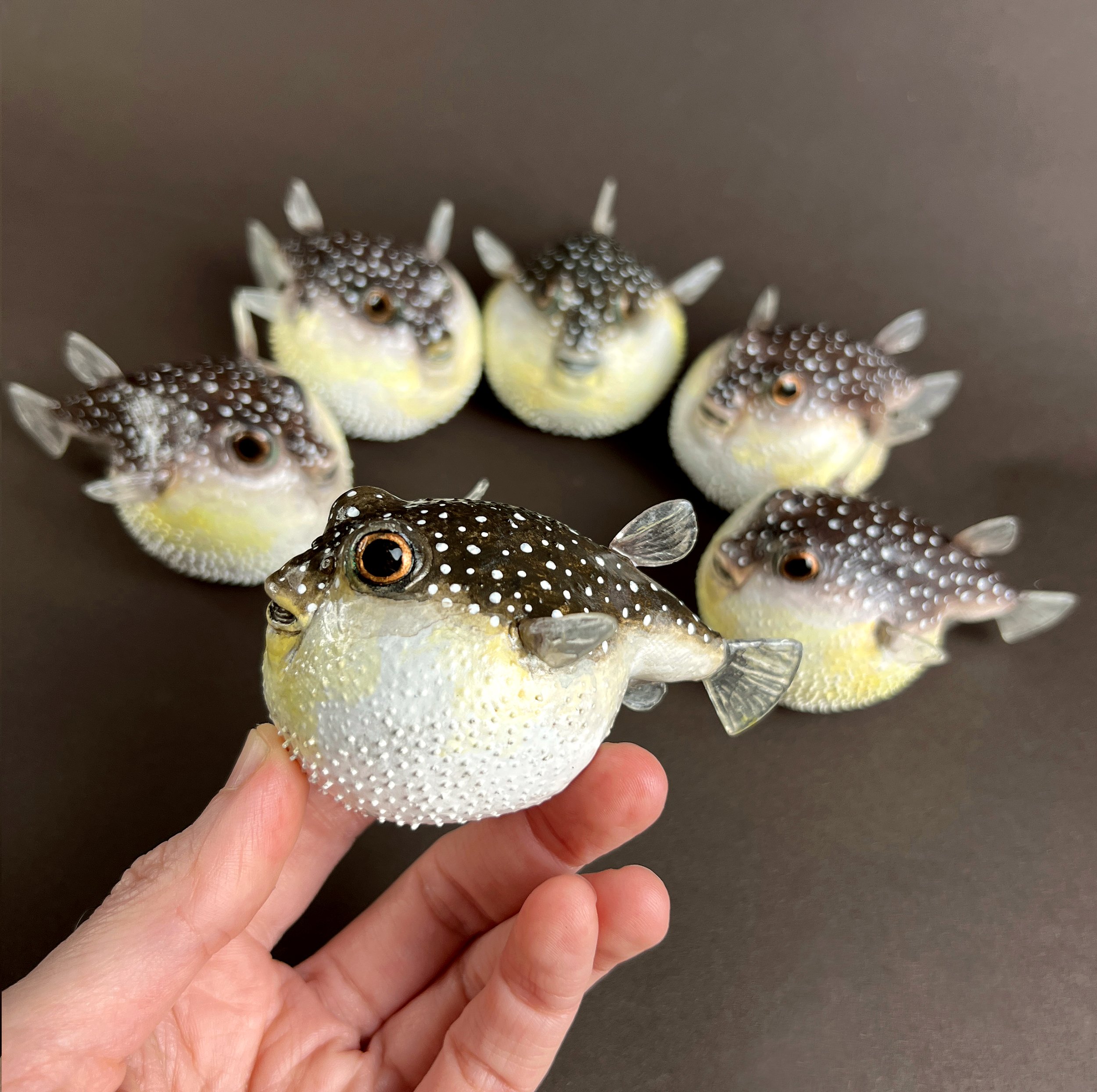 puffer fish all 4A.jpg