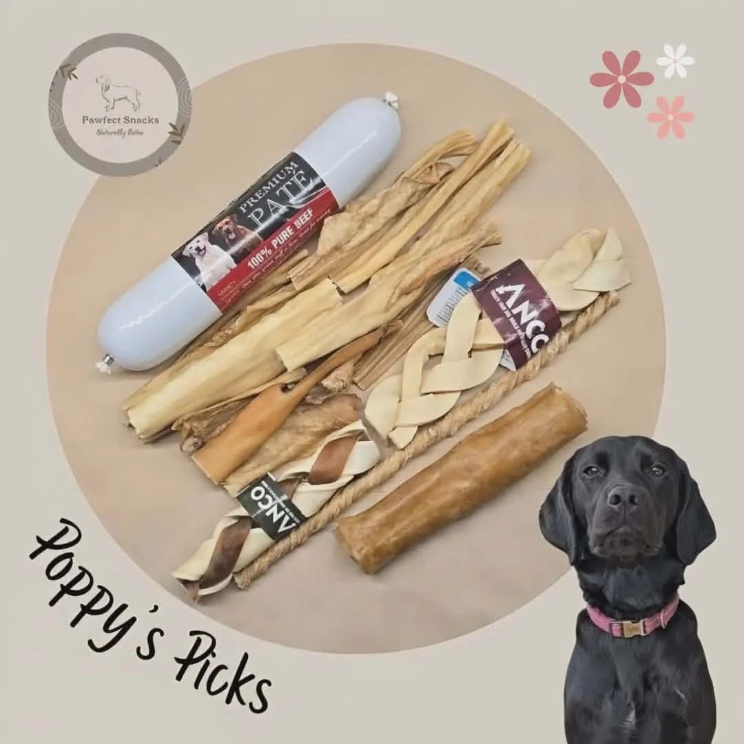 Poppy's Pawfect Picks