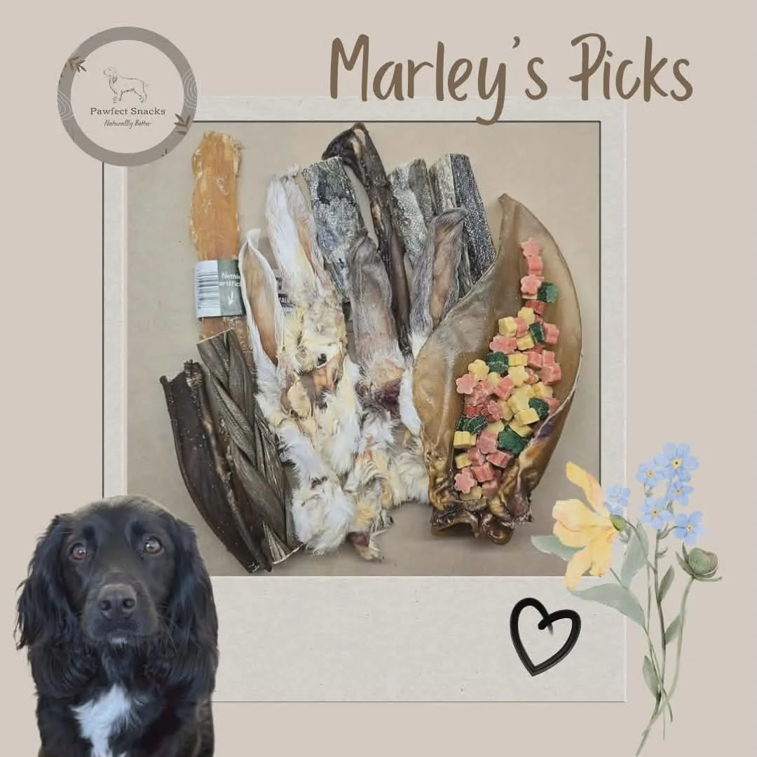 Marley's Pawfect Picks
