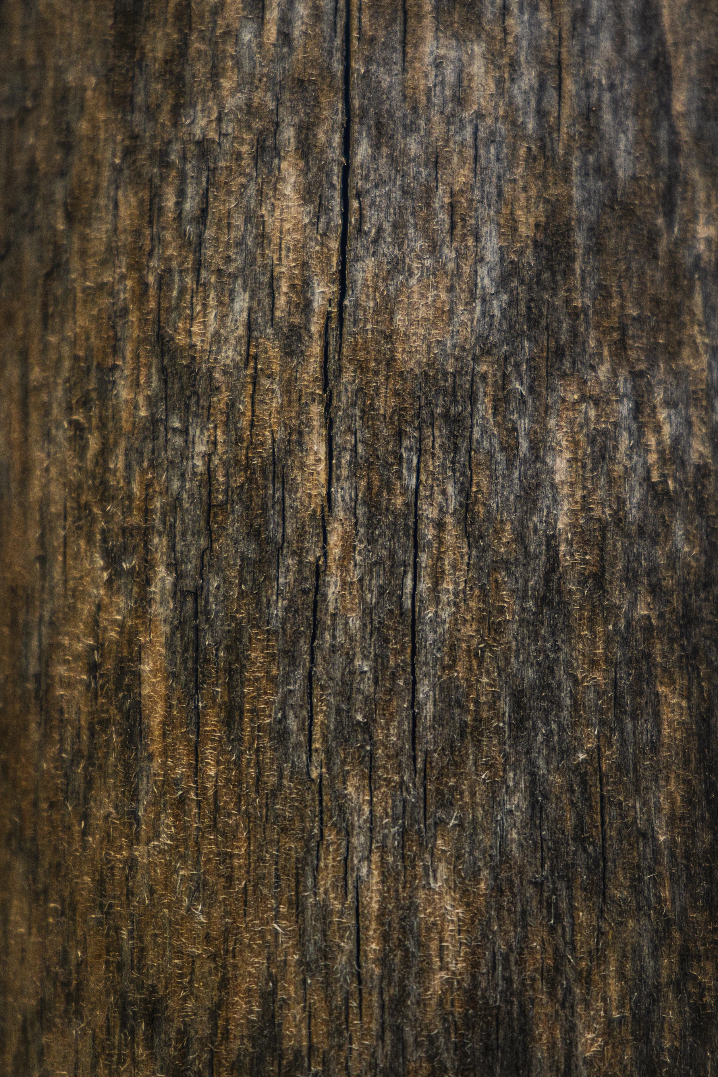 test images walking reel-1587.jpg