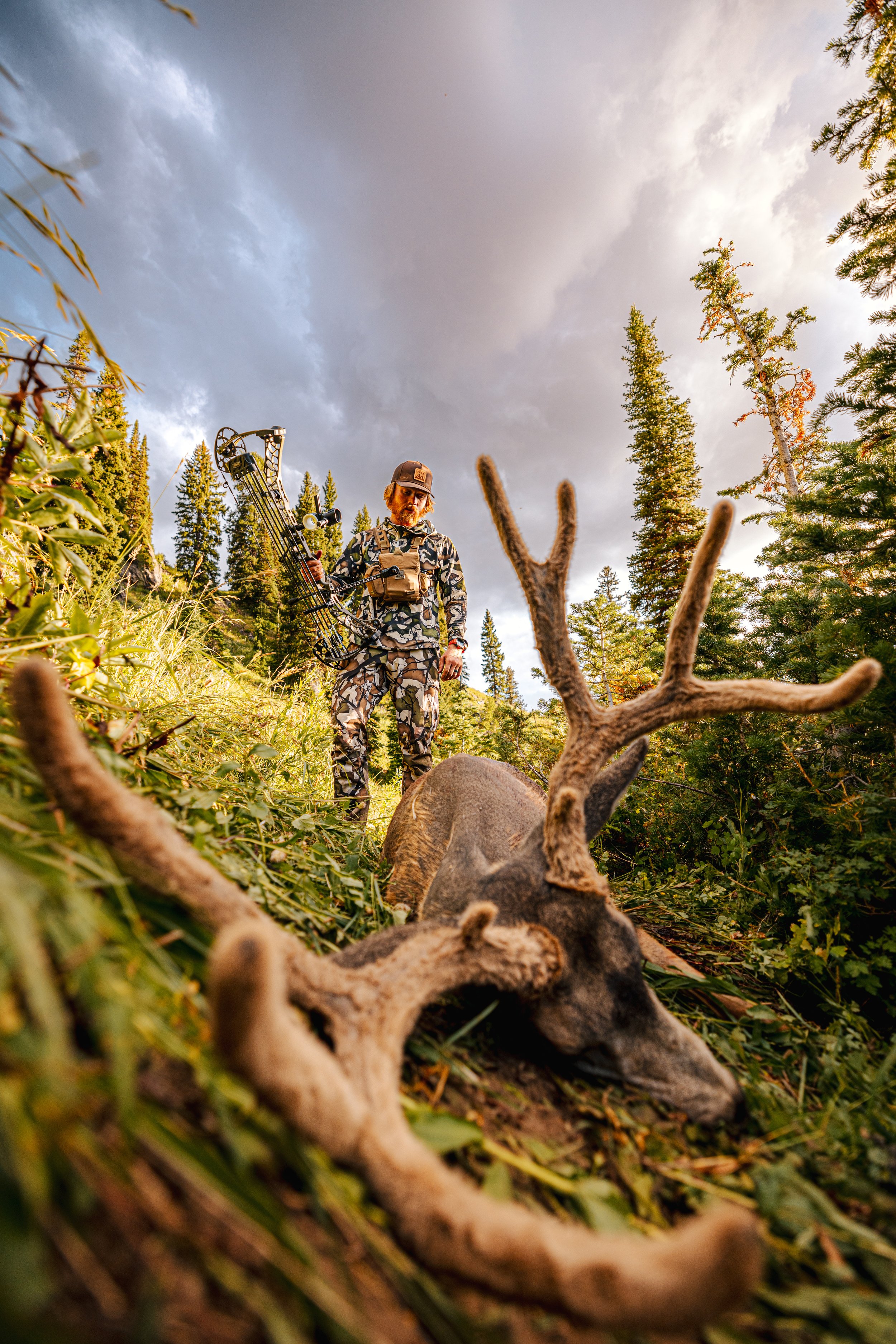 Utah 2024 Mule Deer-1343.jpeg