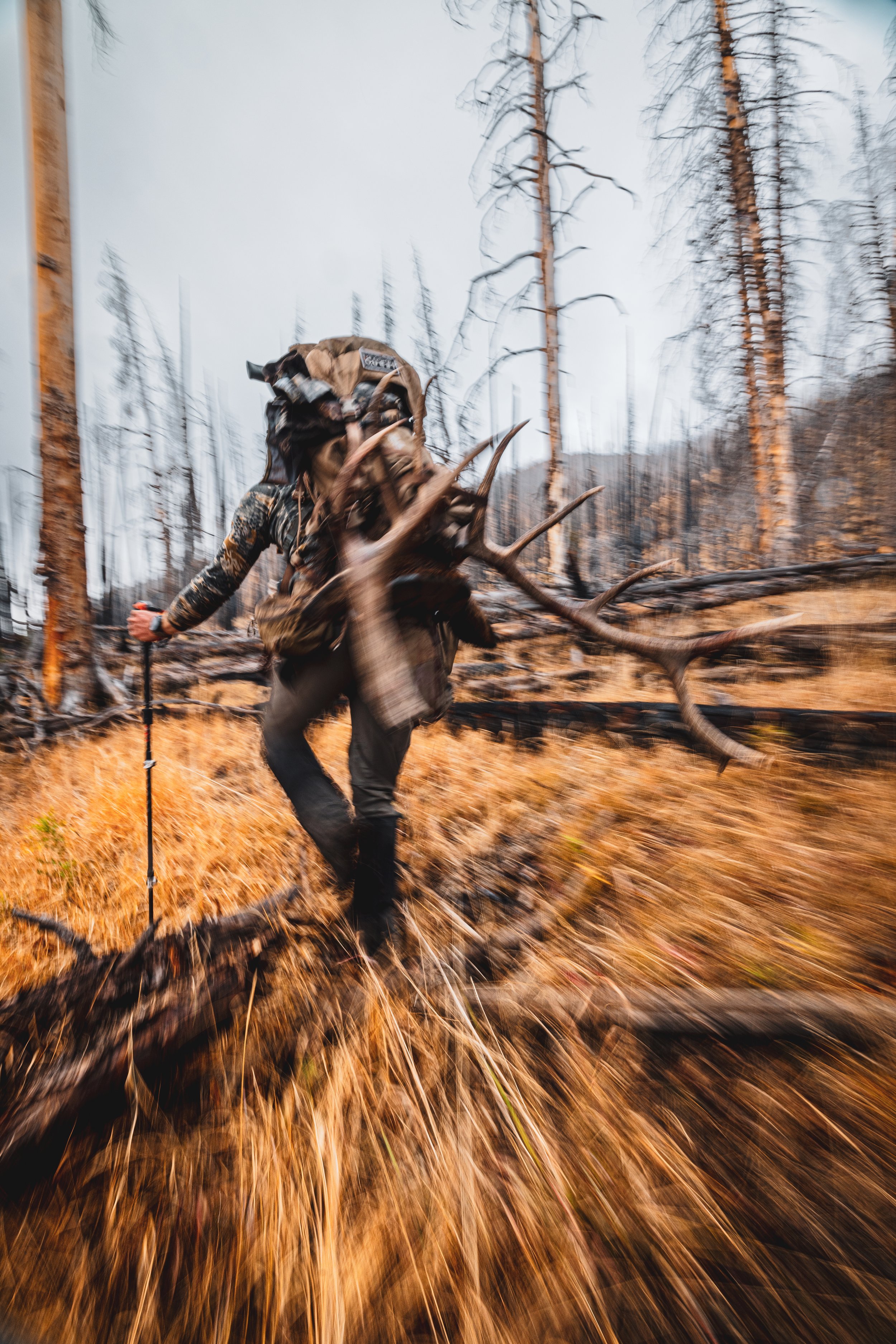 Hunters Quest - Elk-0284.jpeg