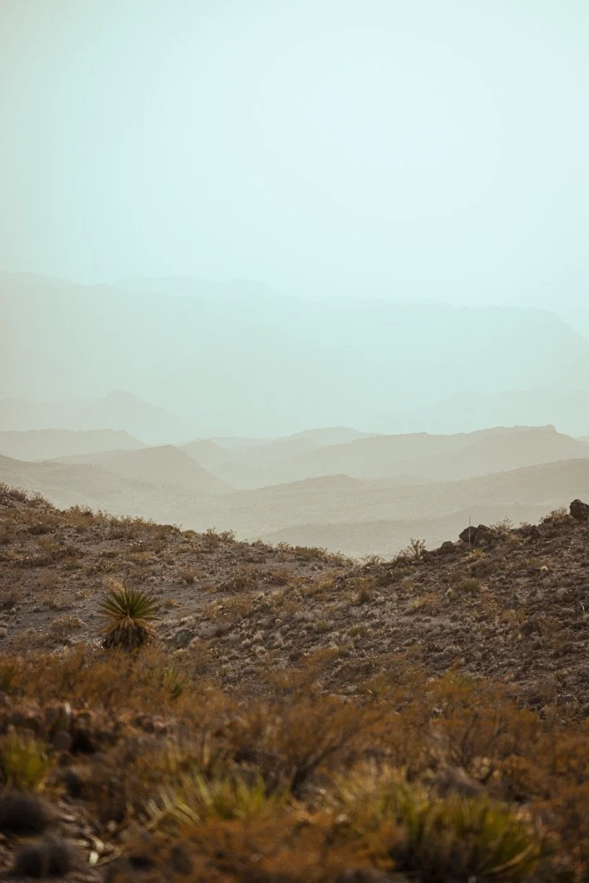 Texas Audad-0052 Large.jpeg