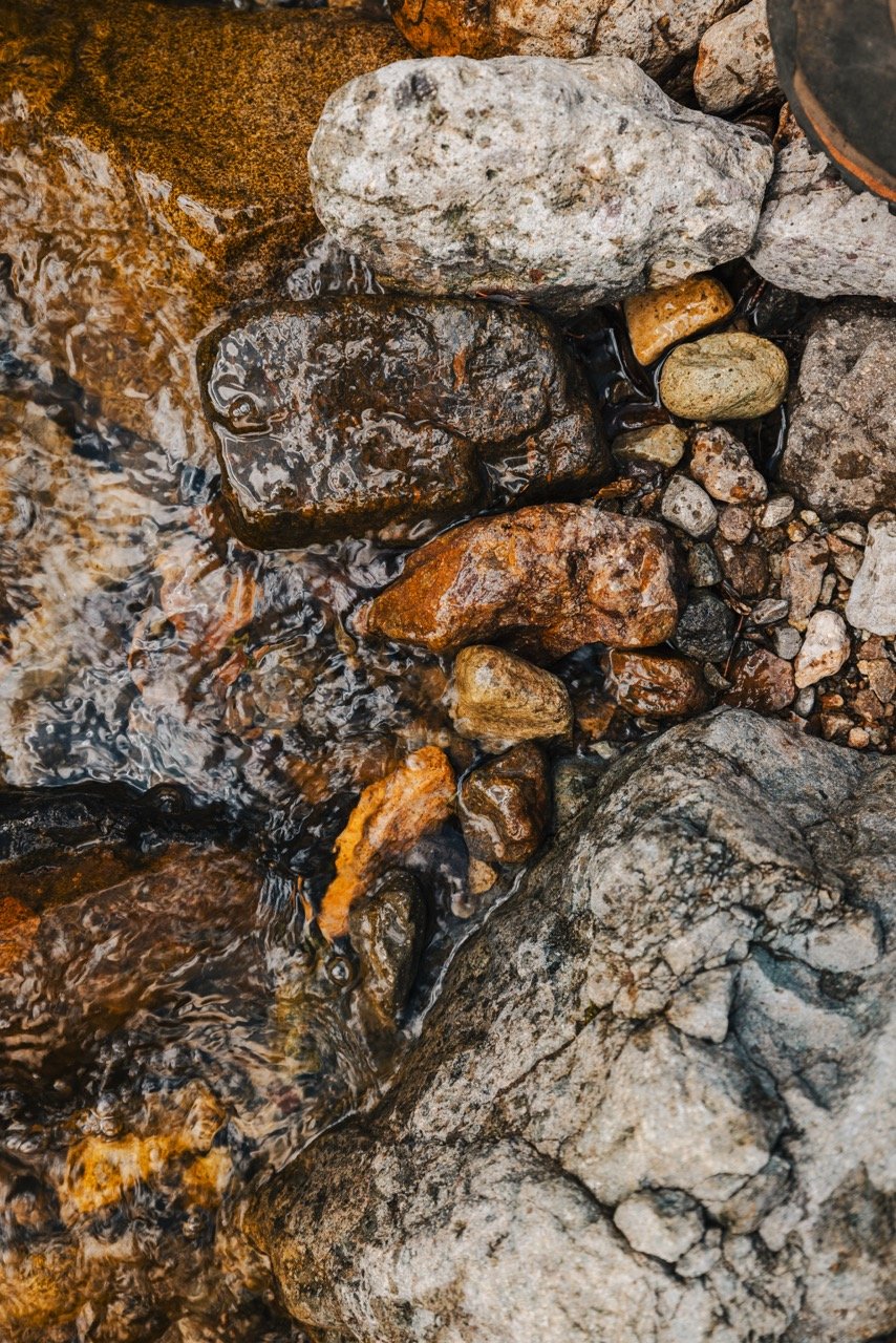 Idaho bear hunt-179 Large.jpeg