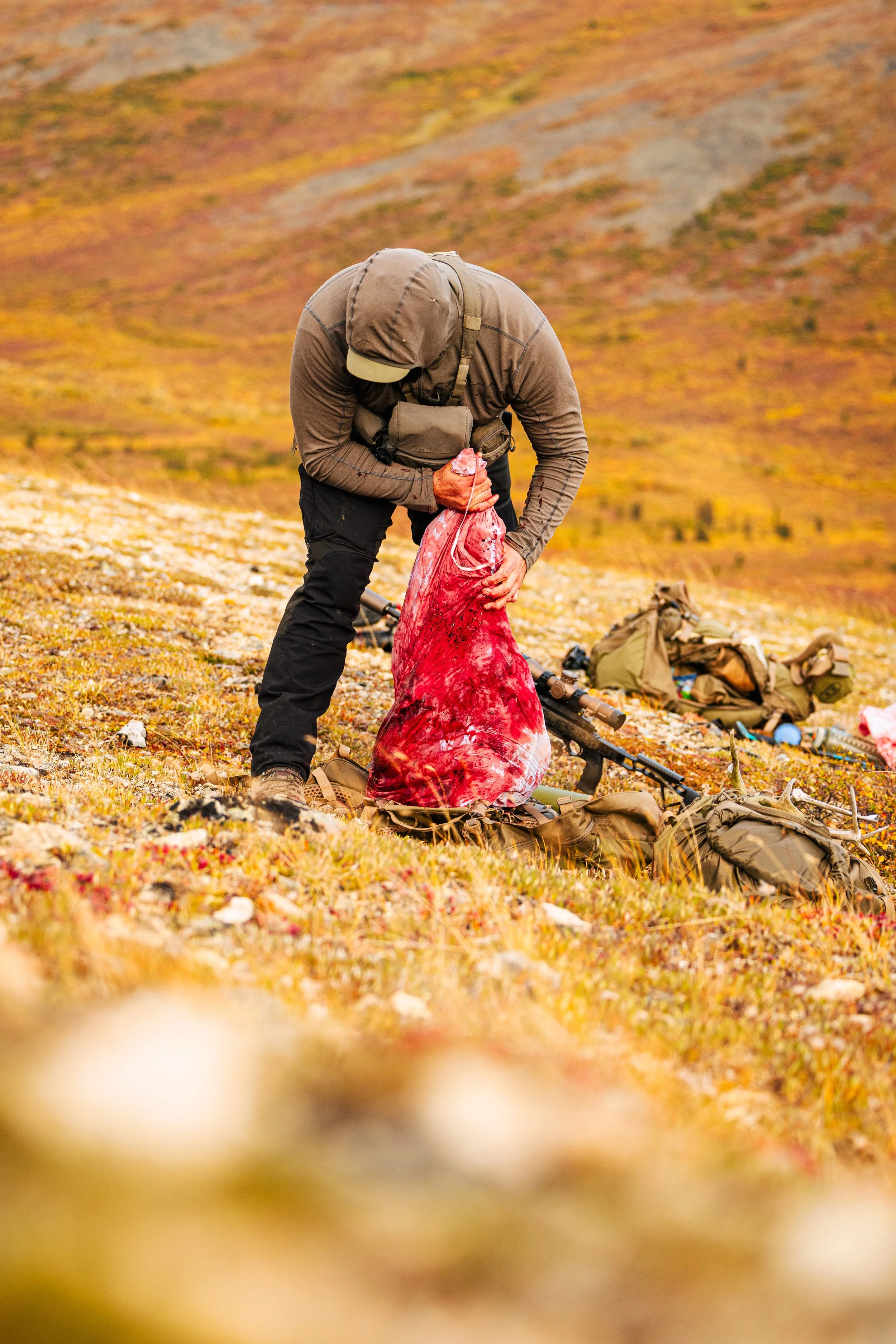 Alaska Caribou-227.jpeg