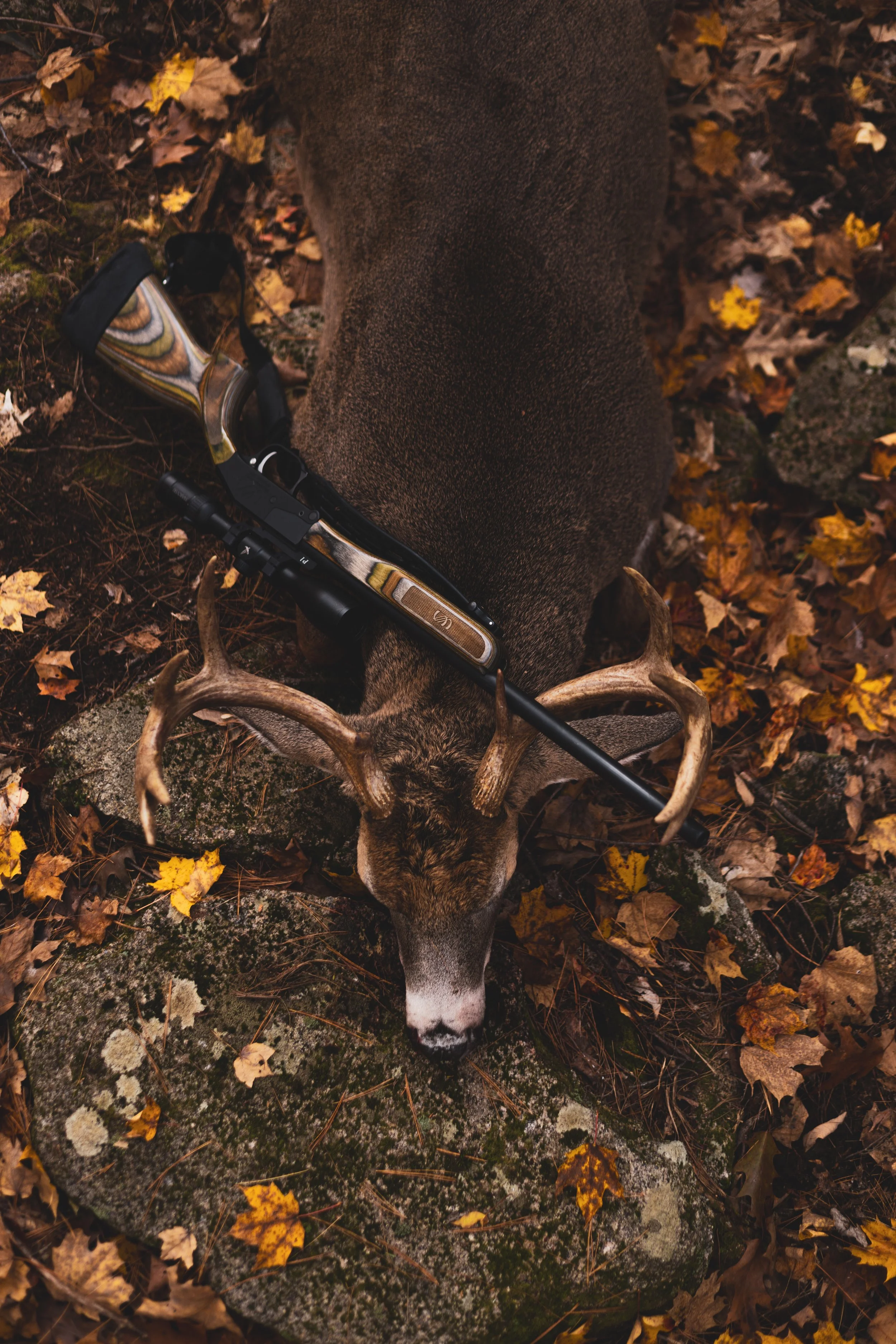 Chris Harvest-0557.jpeg