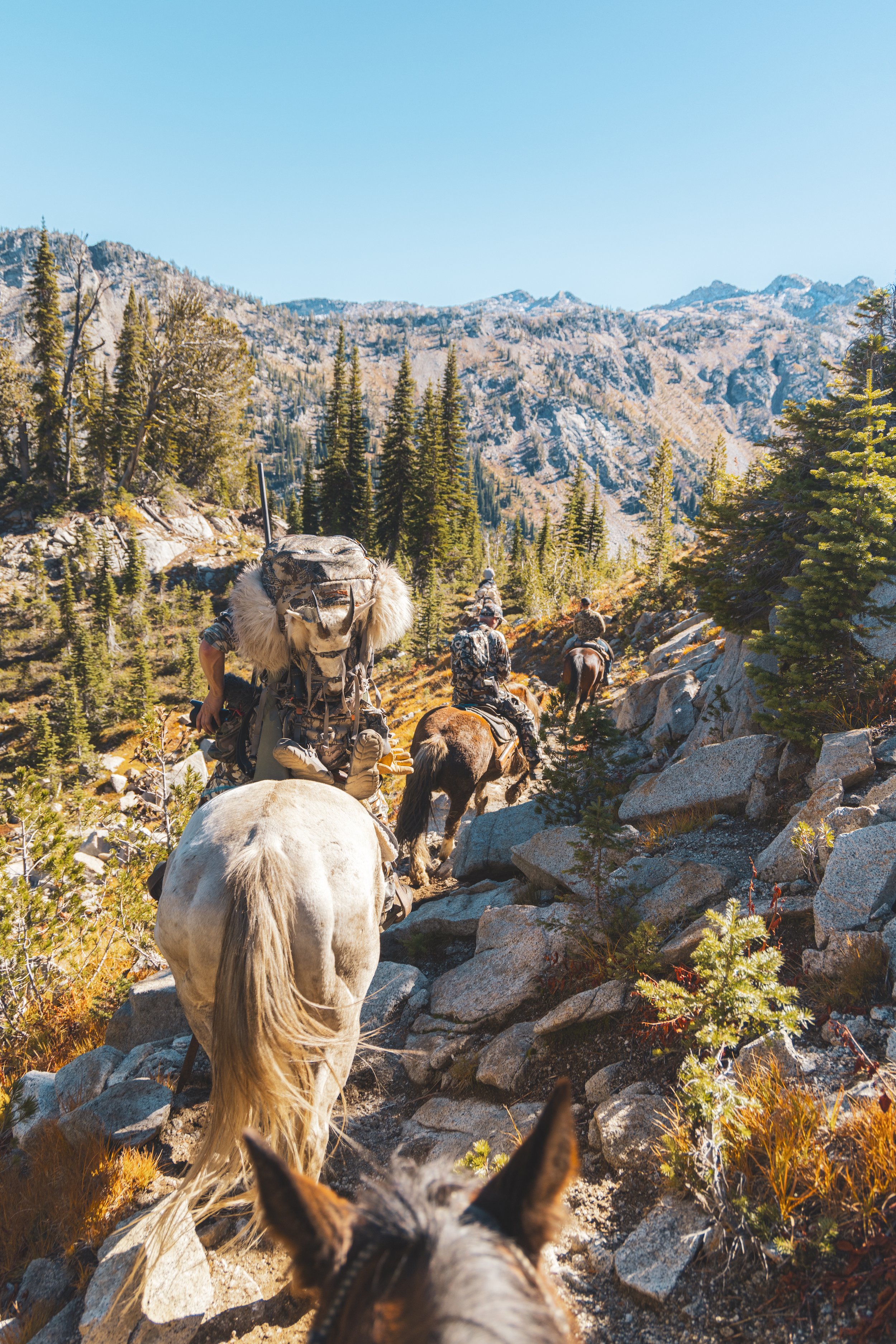 Goast hunt-9216.jpeg