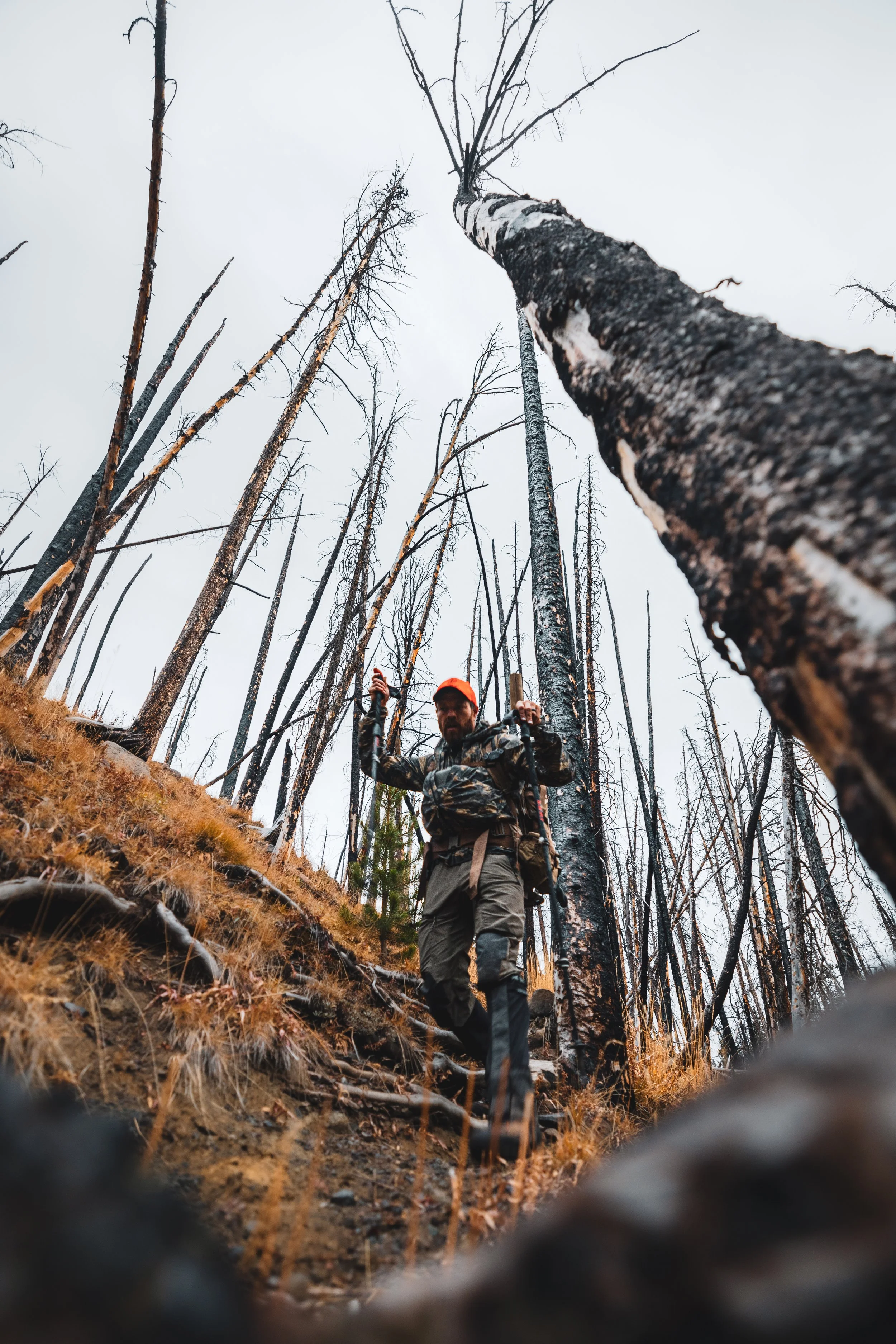 Hunters Quest - Elk-9630.jpg