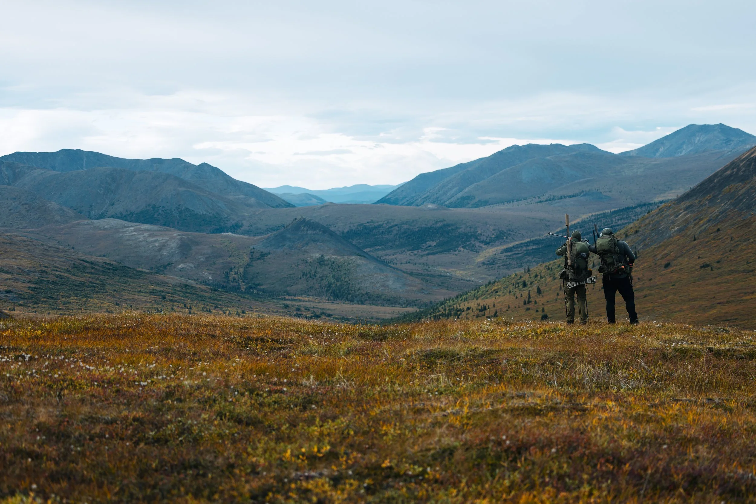 Alaska Caribou-124.jpeg