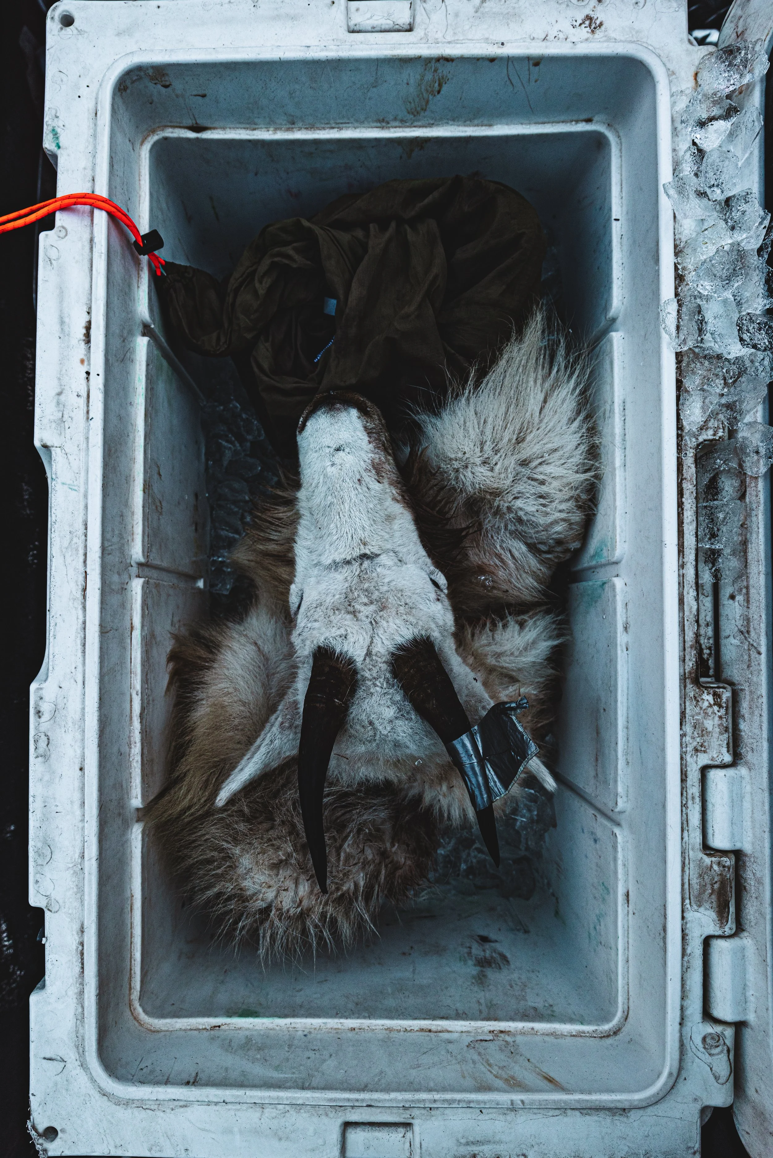 Goast hunt-9393.jpeg