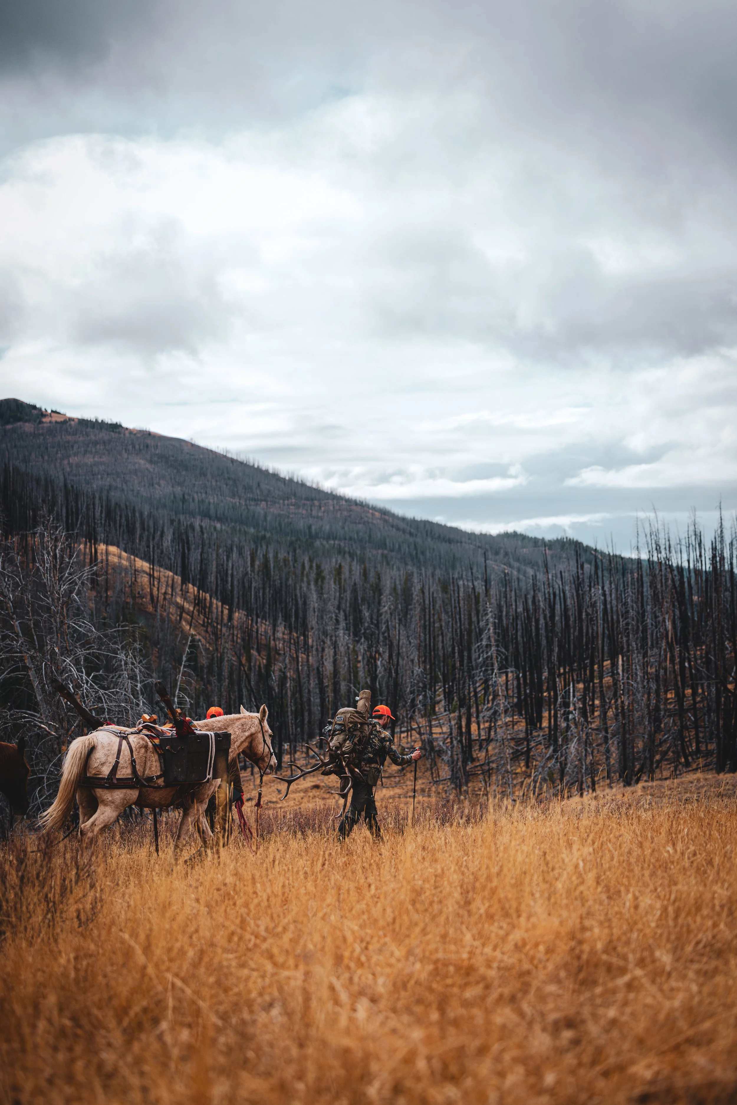 Hunters Quest - Elk-0419.jpeg