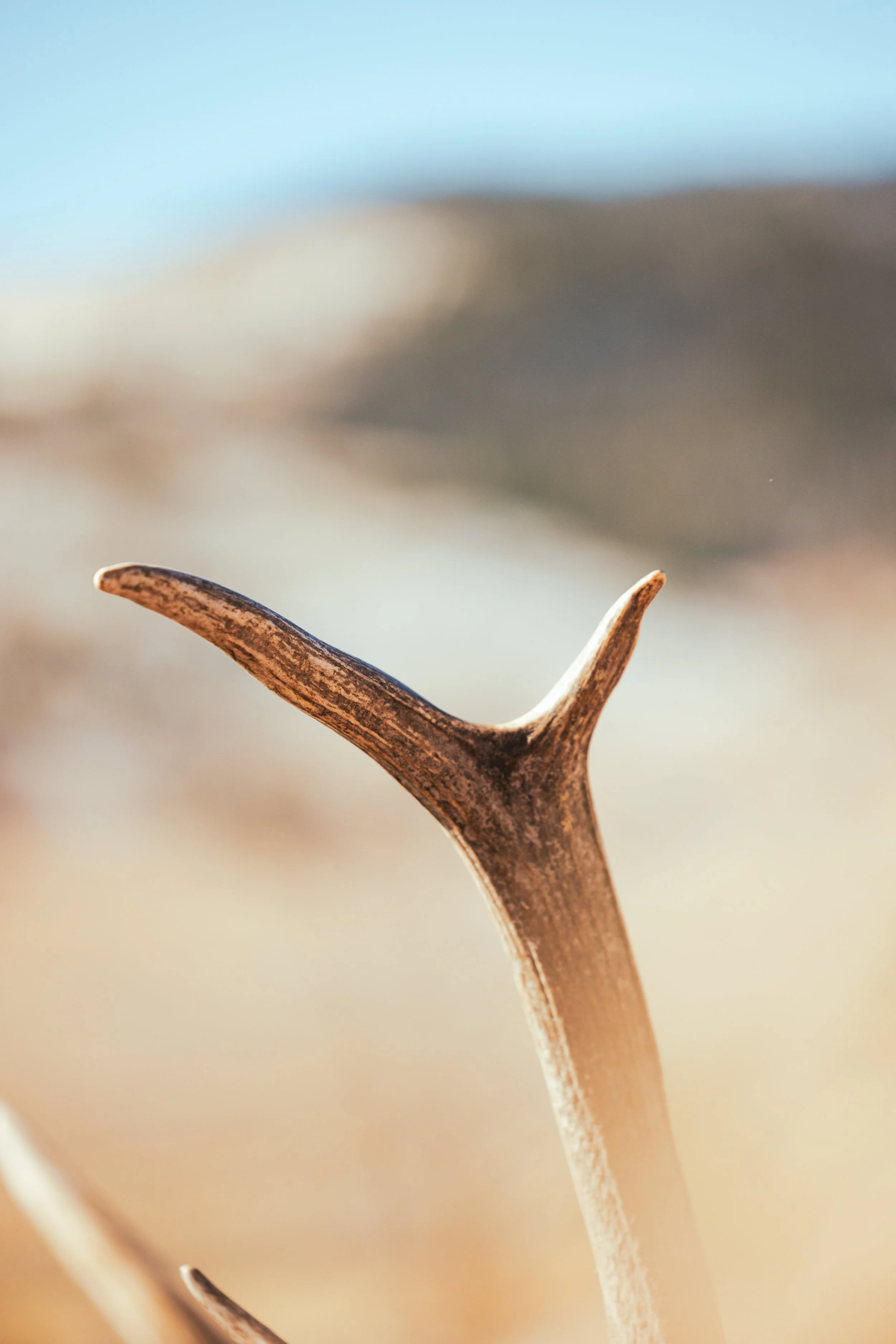 Mwaters - Edited-2139.jpeg