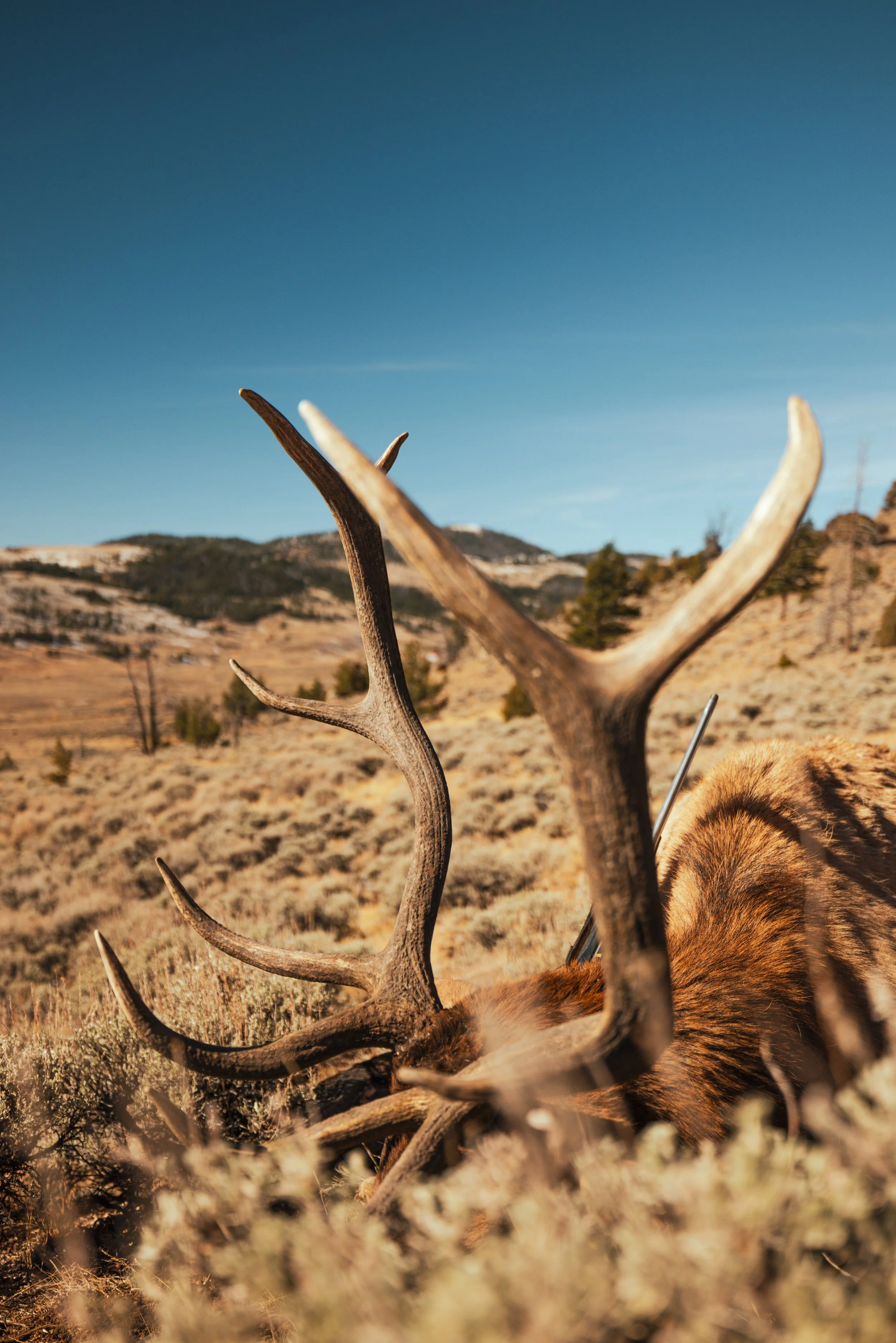 Mwaters - Edited-2099.jpeg