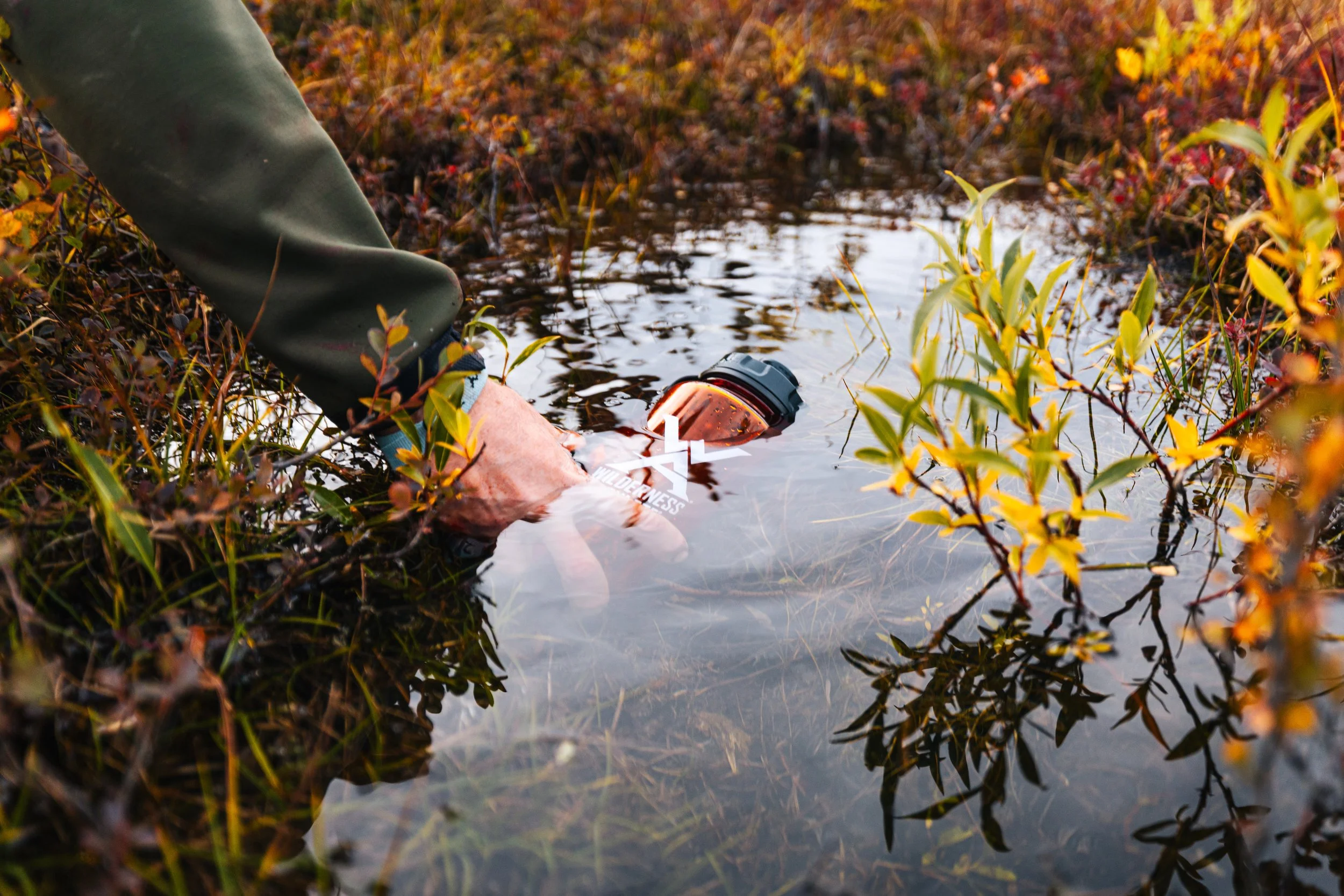 Alaska Caribou-240.jpeg
