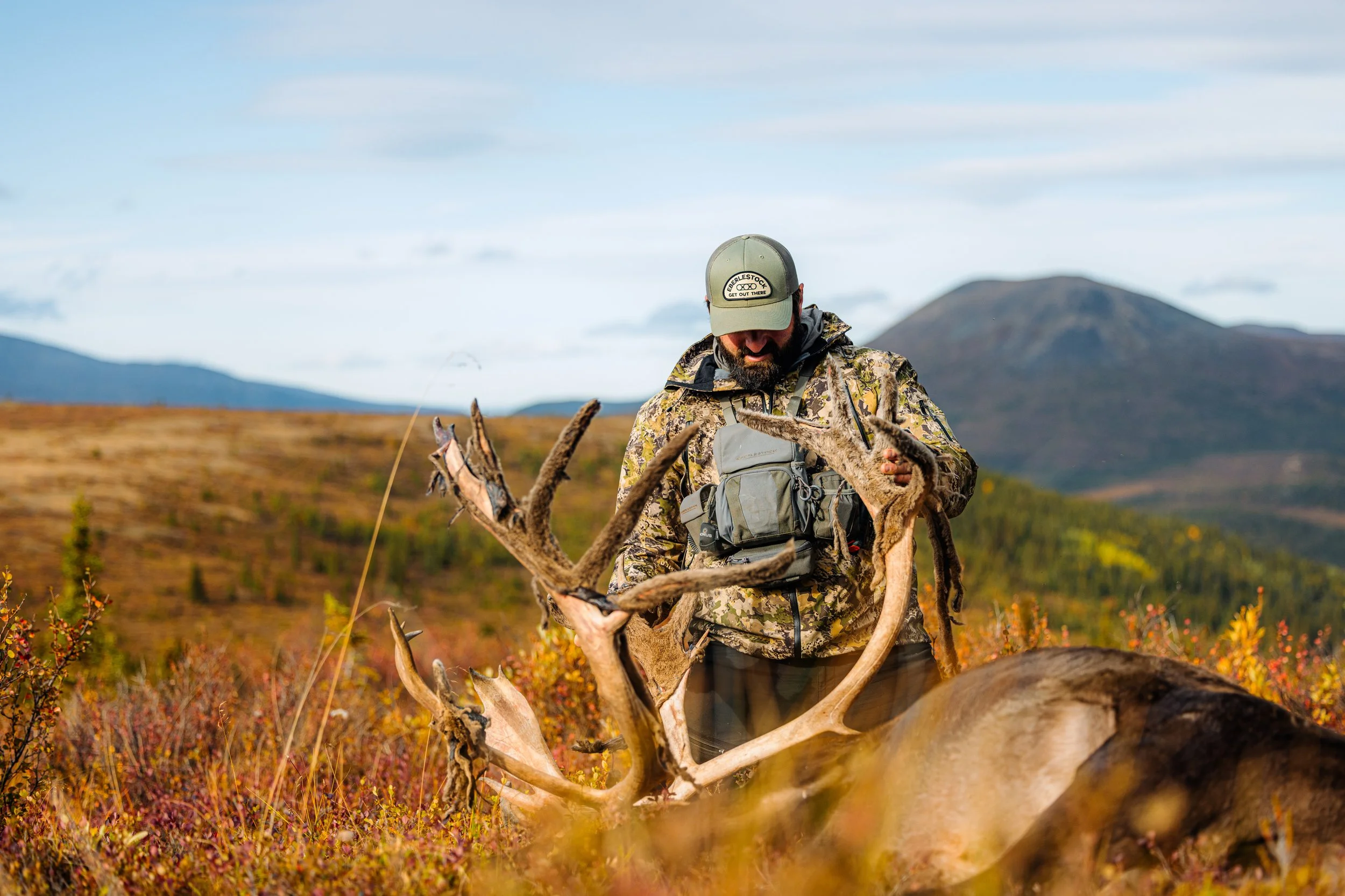 Alaska Caribou-384.jpeg