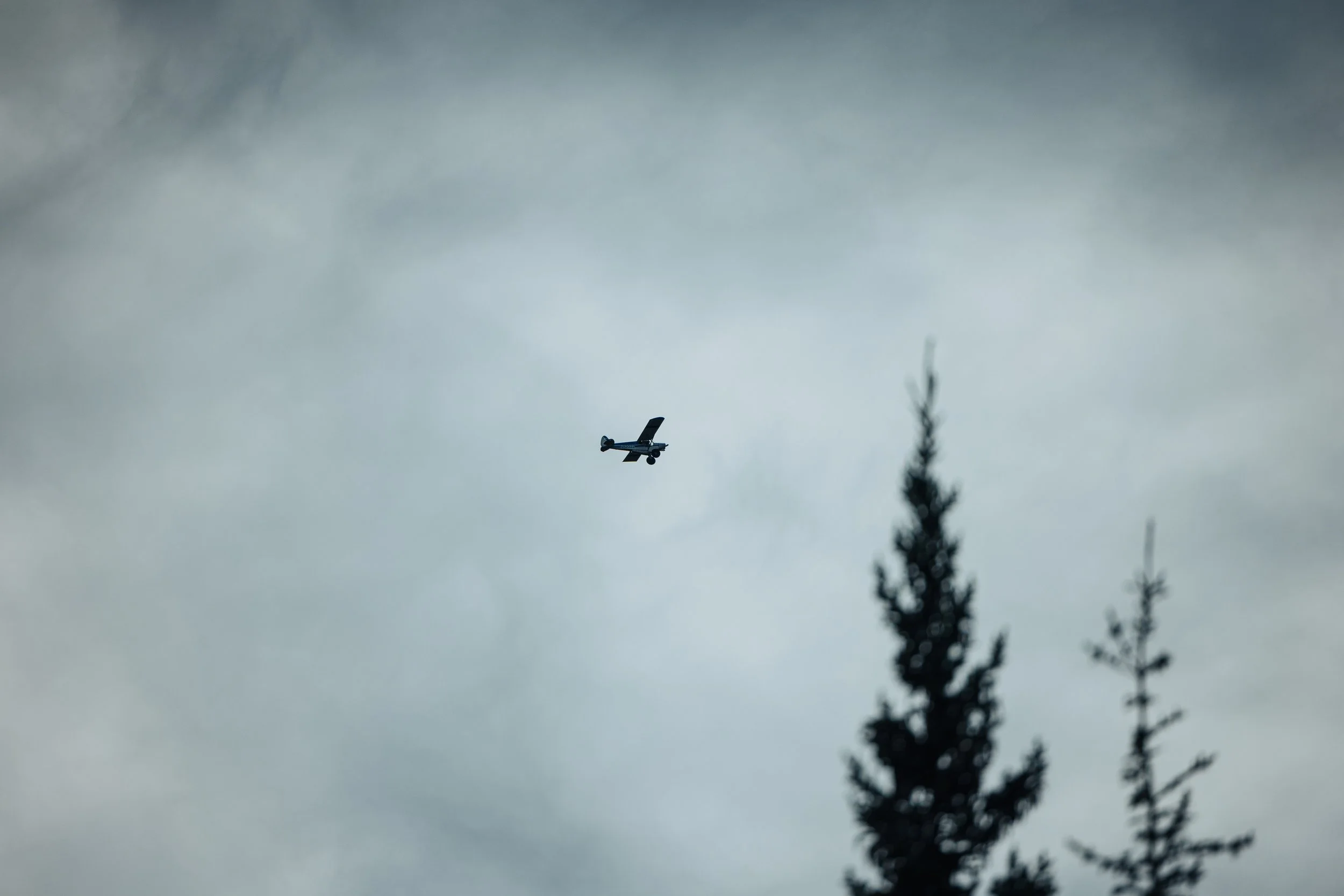 Alaska Caribou-60.jpeg