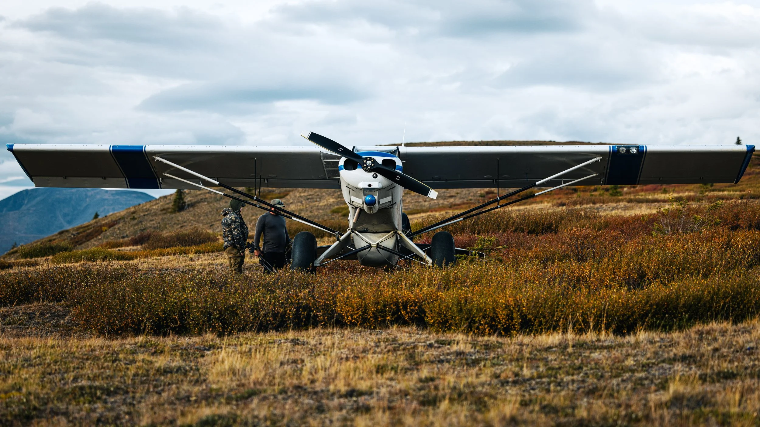 Alaska Caribou-71.jpeg