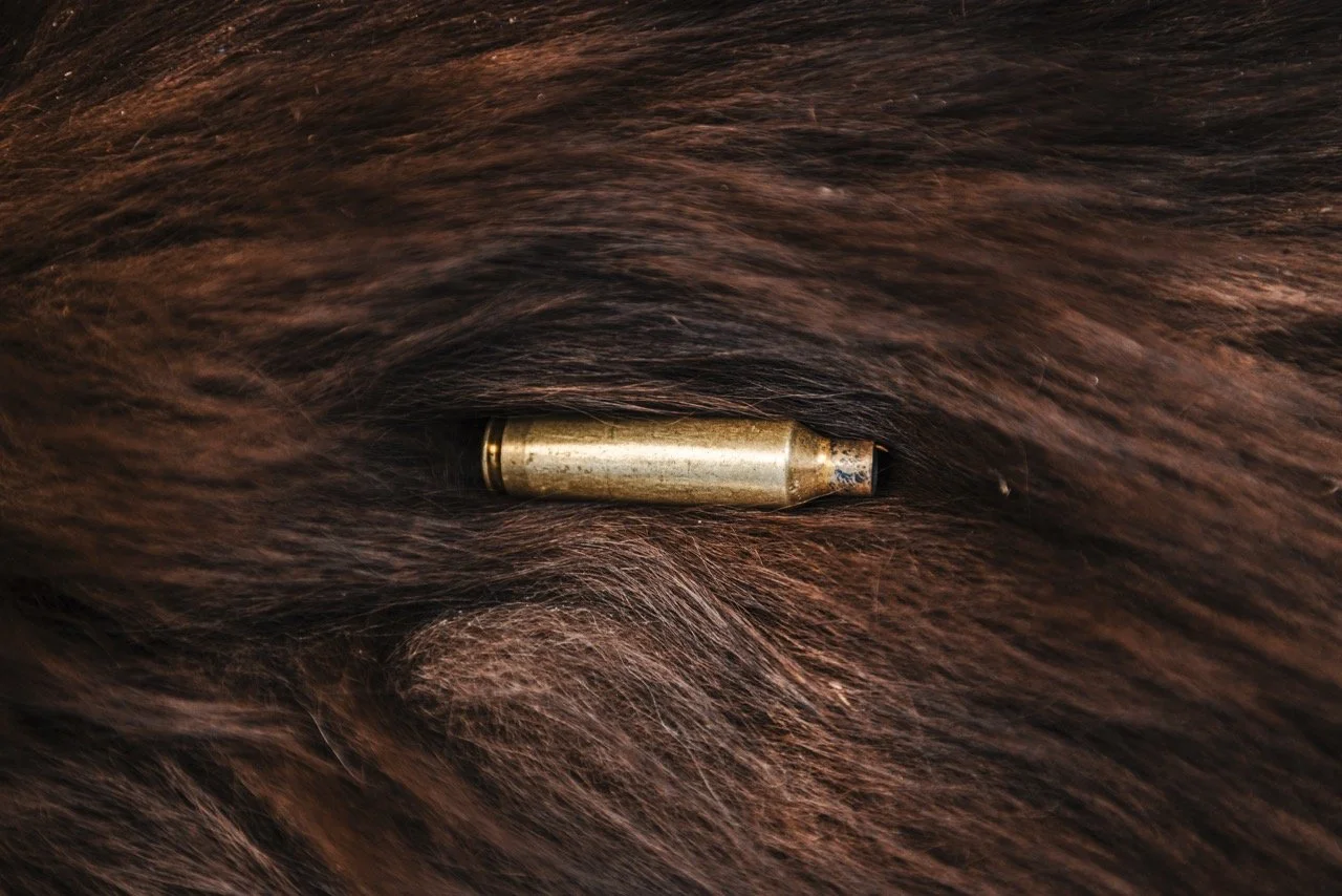 Idaho bear hunt-192 Large.jpeg