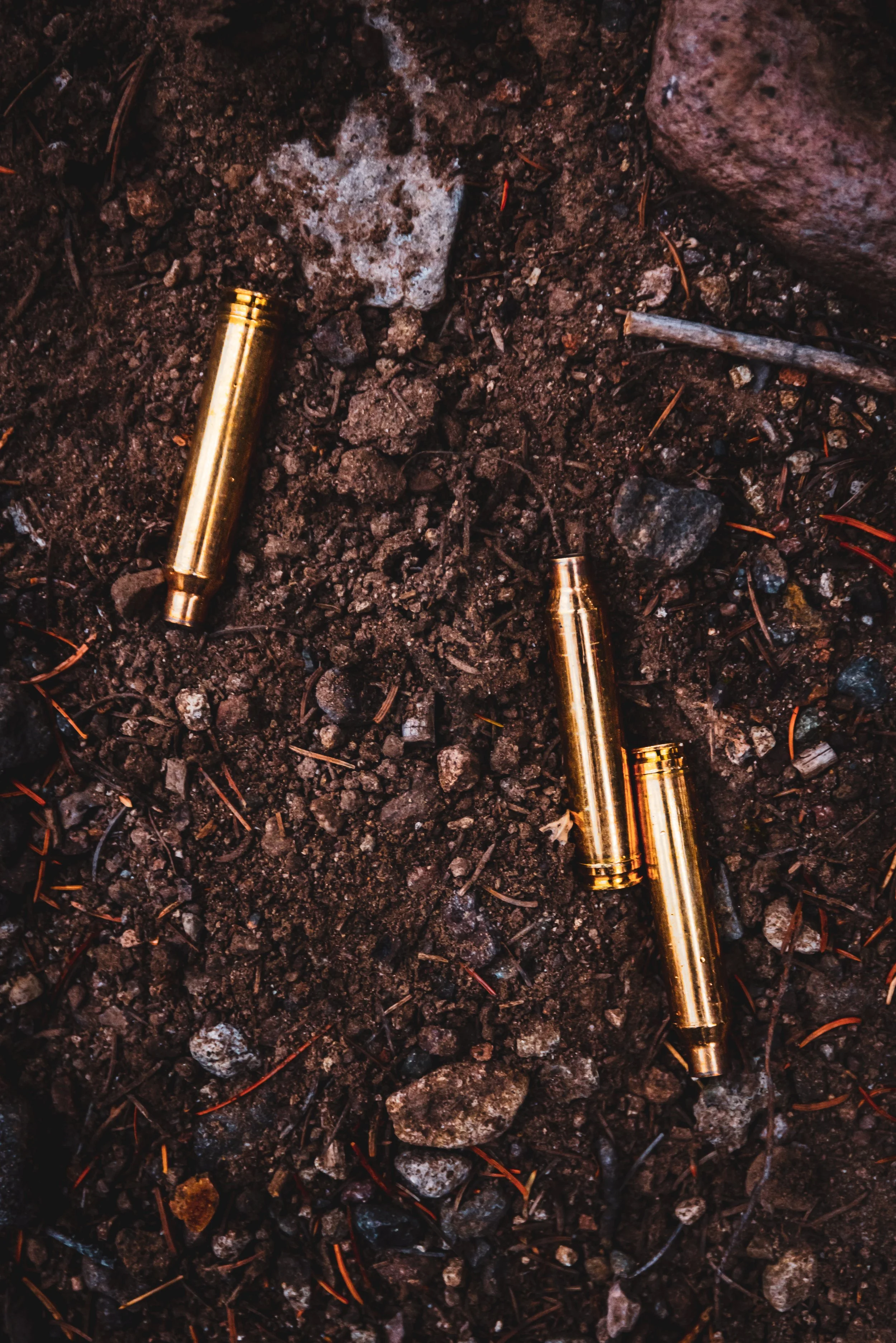 Hunters Quest - Elk-9543.jpg