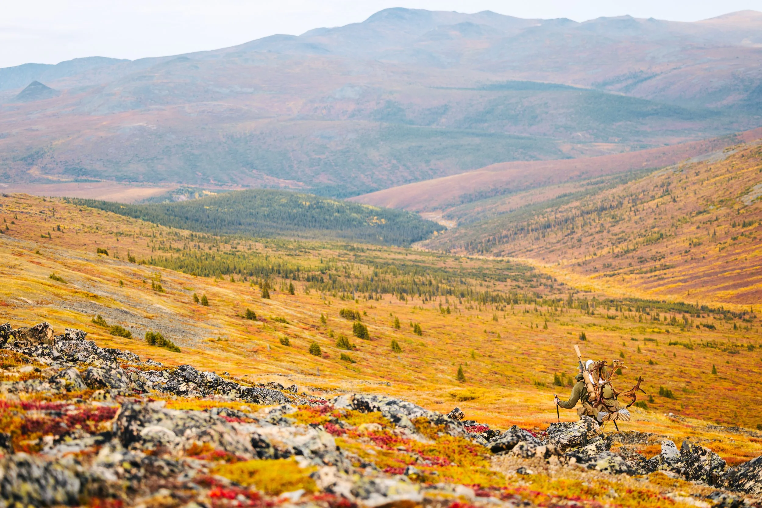 Alaska Caribou-220.jpeg