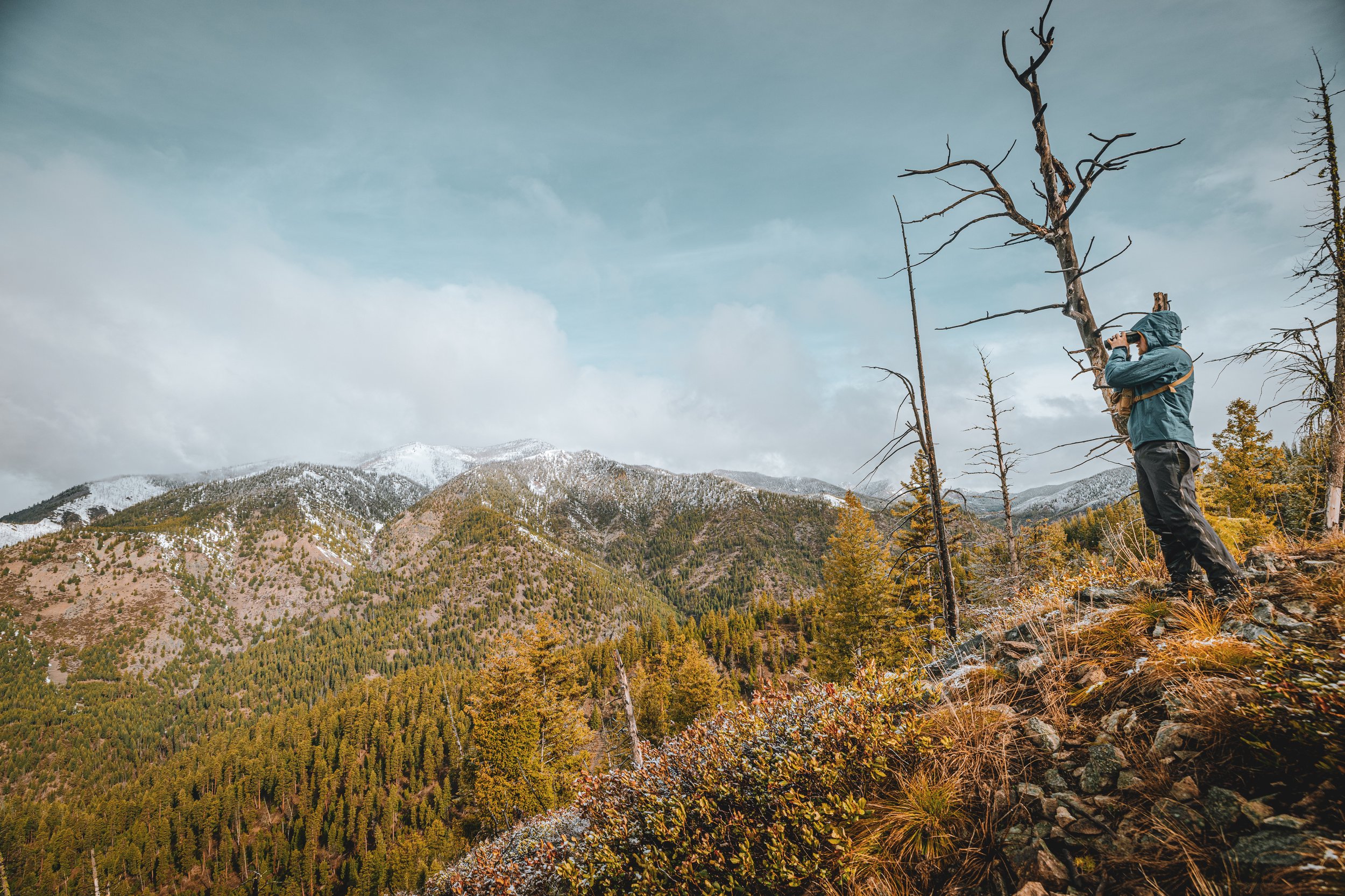 BEAR 2024-4041 3.jpeg