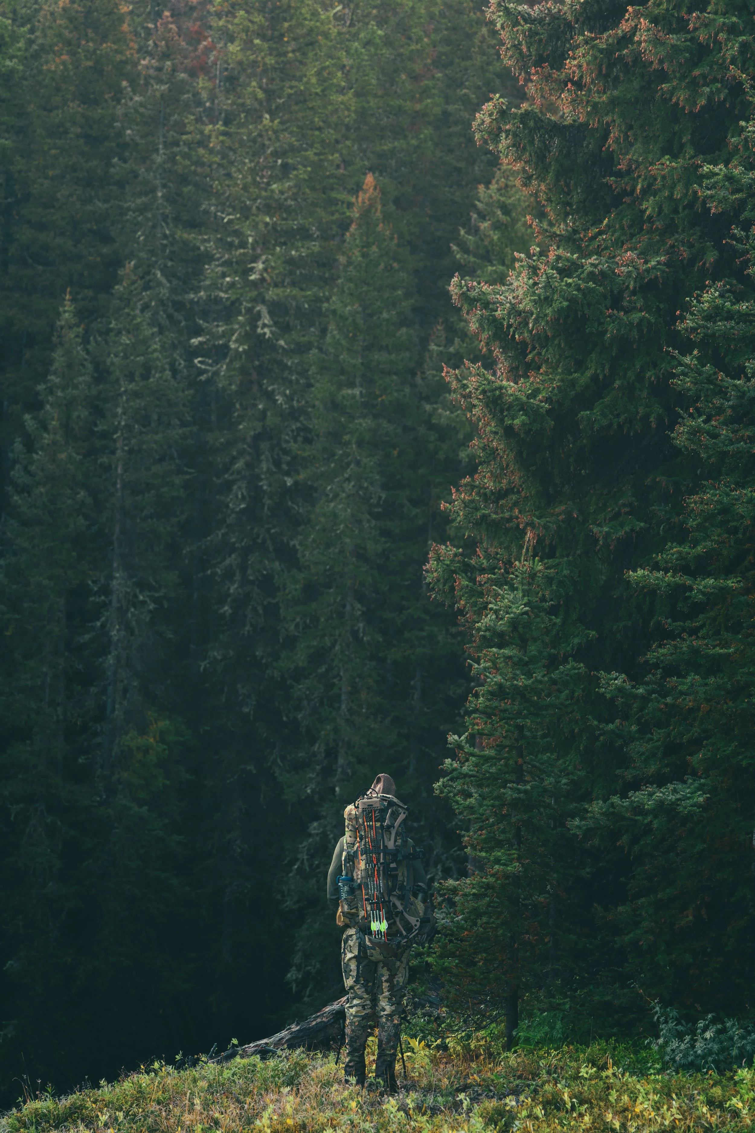 test images walking reel-9437.jpg