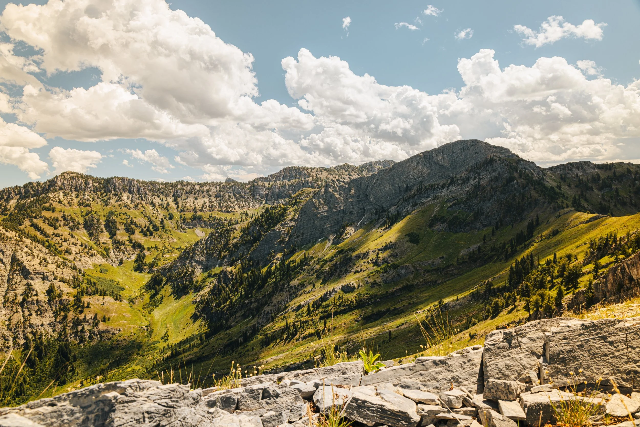 Utah 2024 Mule Deer-9593.jpeg