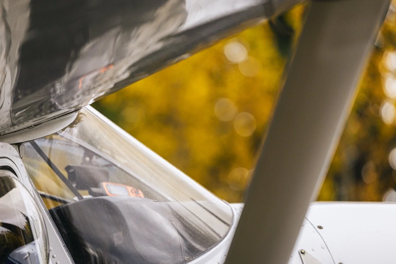 Alaska Caribou-785 Large.jpeg