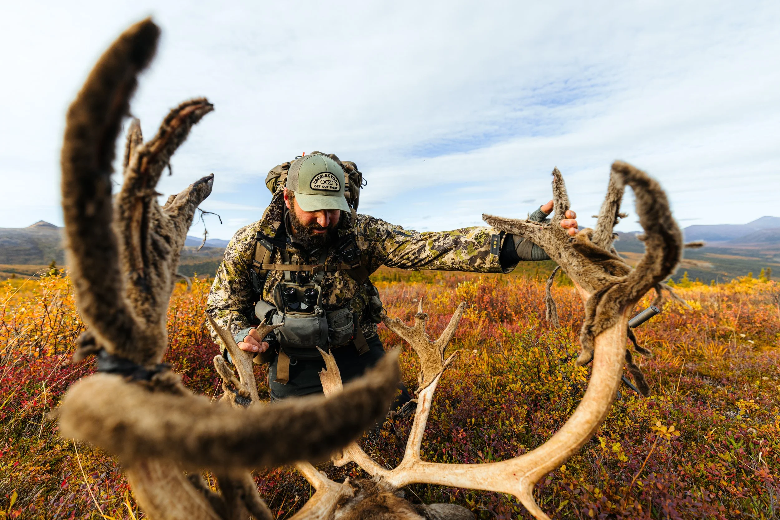 Alaska Caribou-421.jpeg