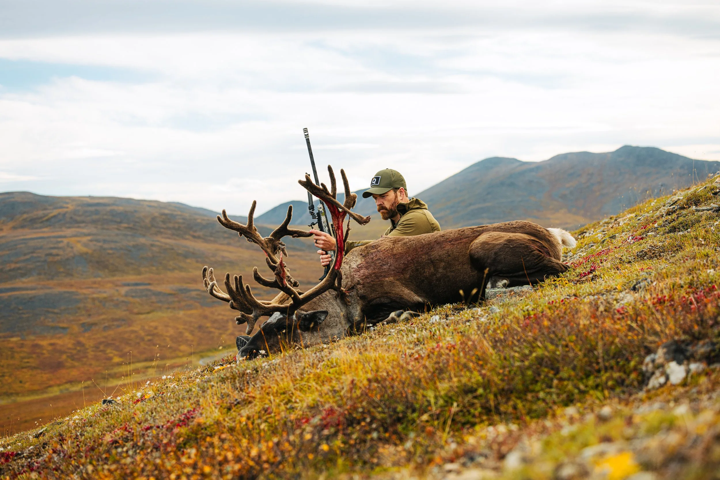 Alaska Caribou-159.jpeg