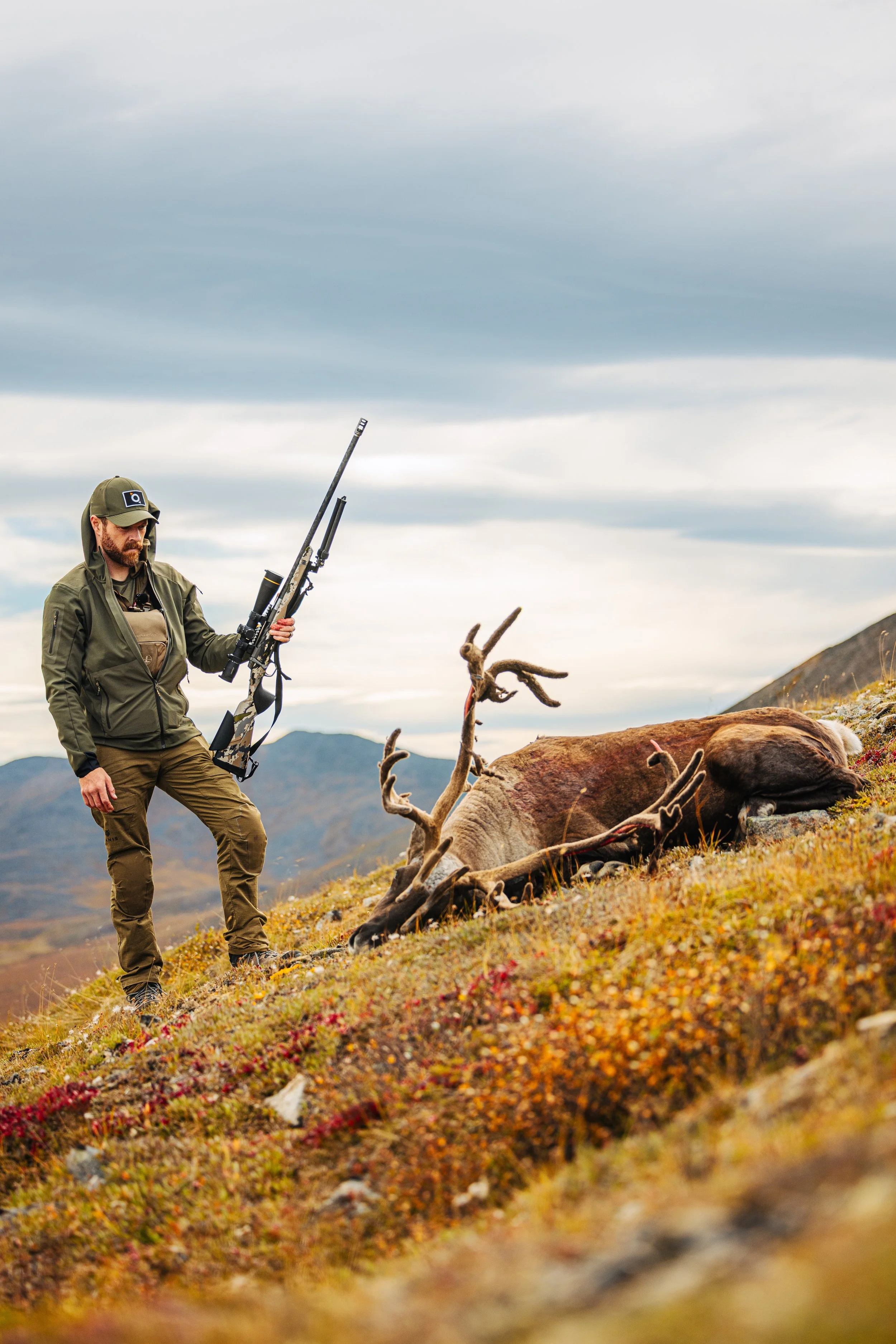 Alaska Caribou-149.jpeg