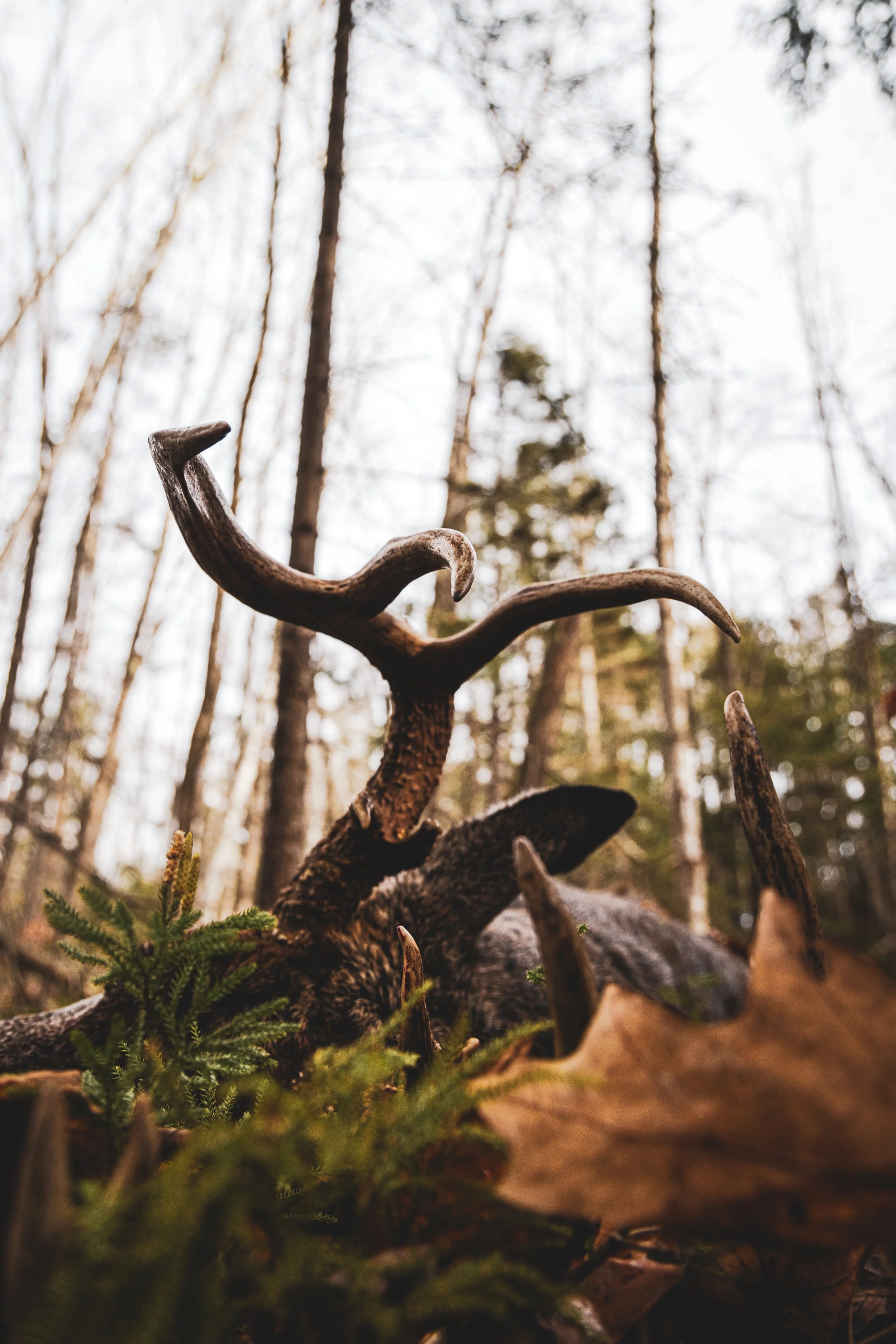 JHC photos-3254.jpeg