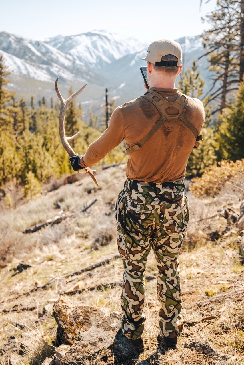 Idaho bear hunt-17 Large.jpeg