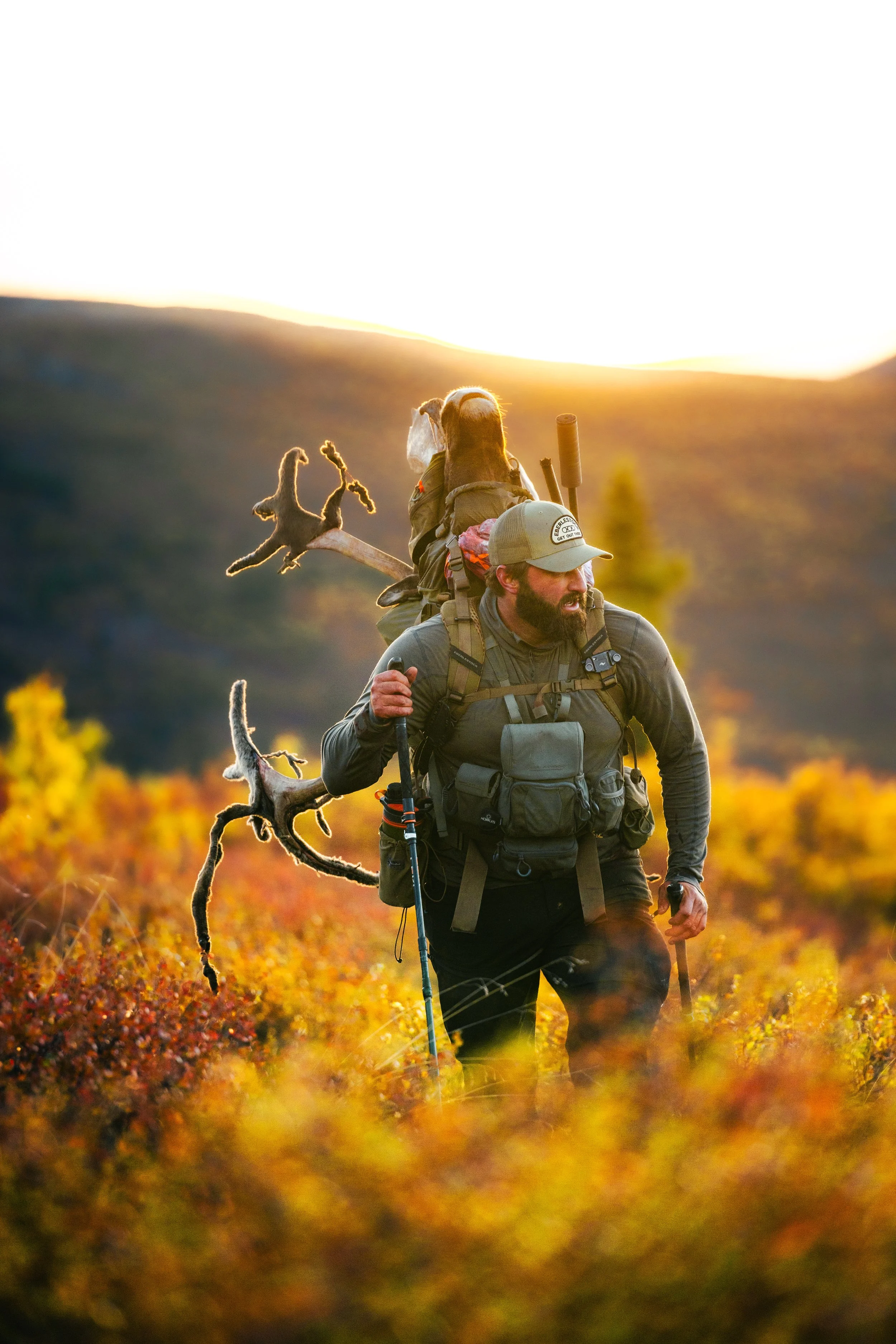 Alaska Caribou-460.jpeg