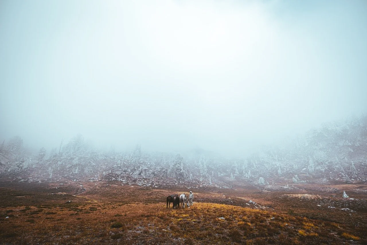 Goast hunt-3816 Large.jpeg