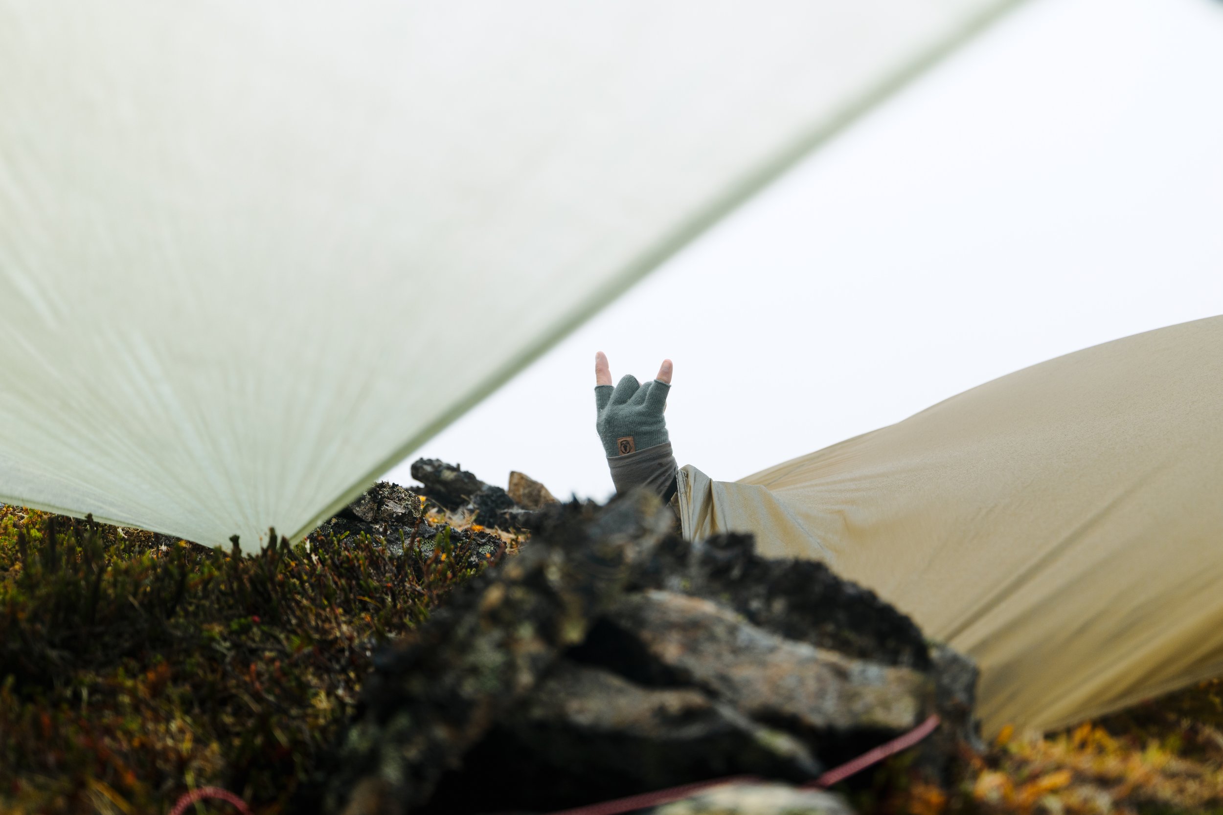 Alaska Caribou-307.jpeg